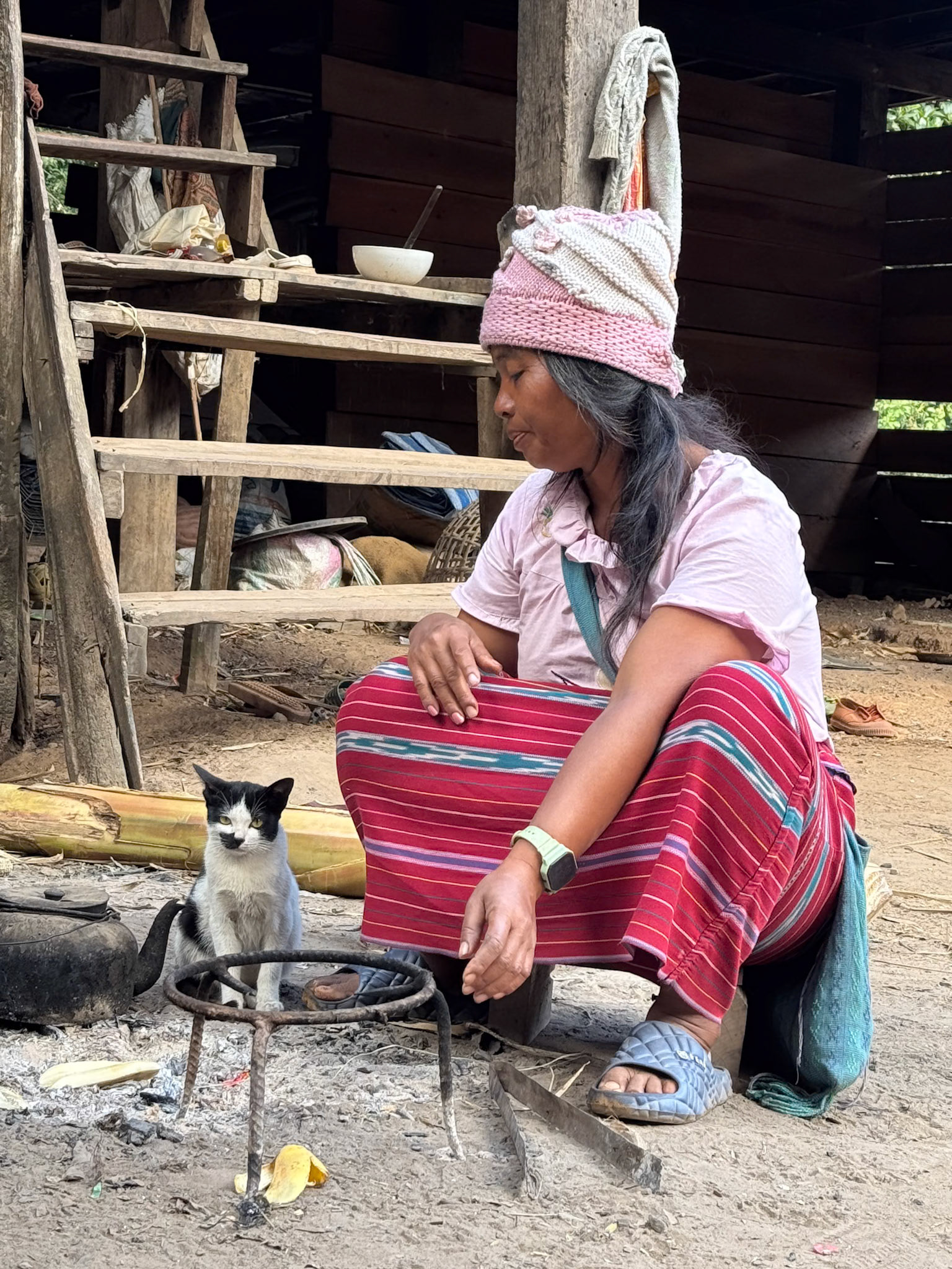 Village cat @ Ban Naklang