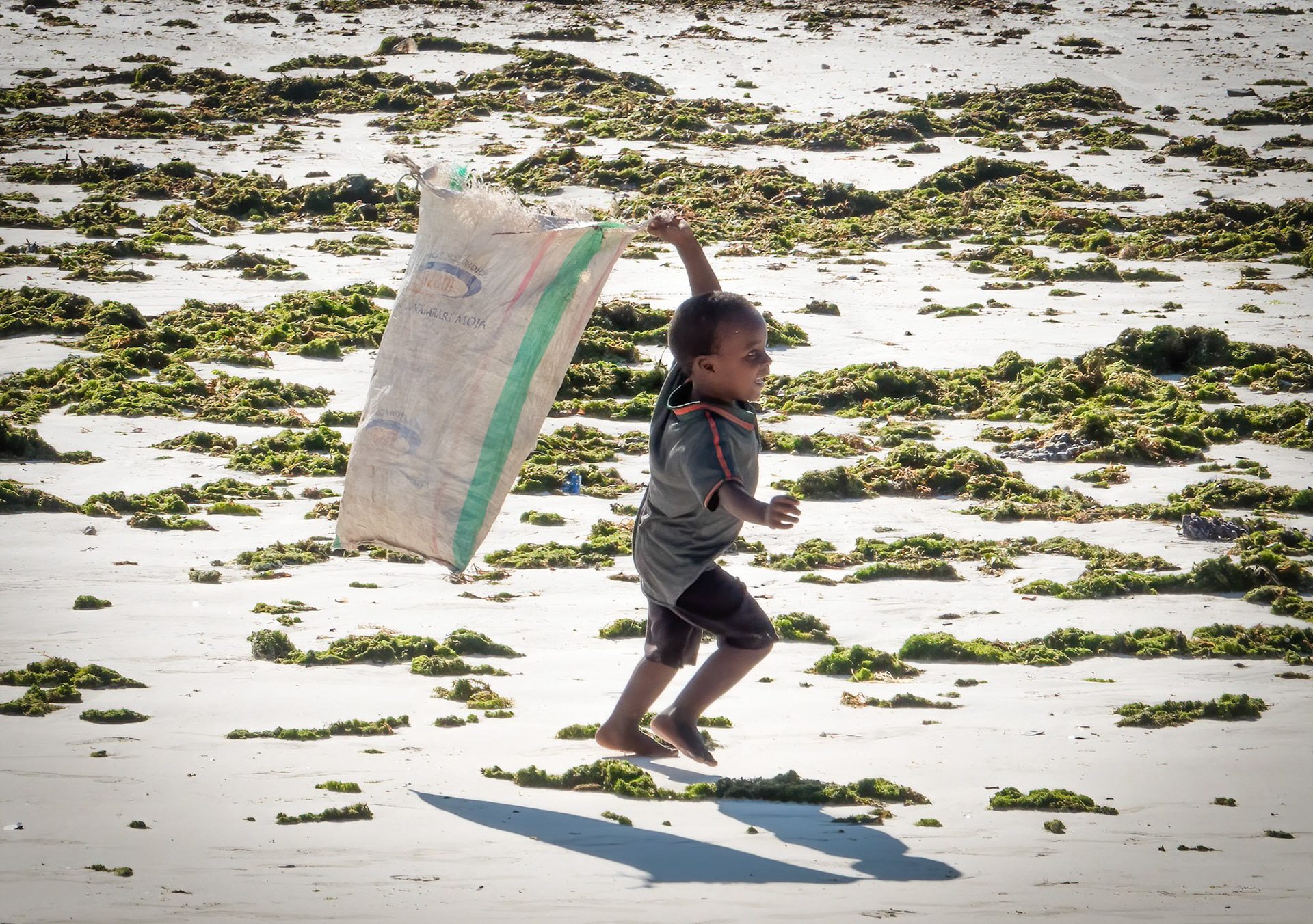 Jambiani Beach, Zanzibar, Tanzania