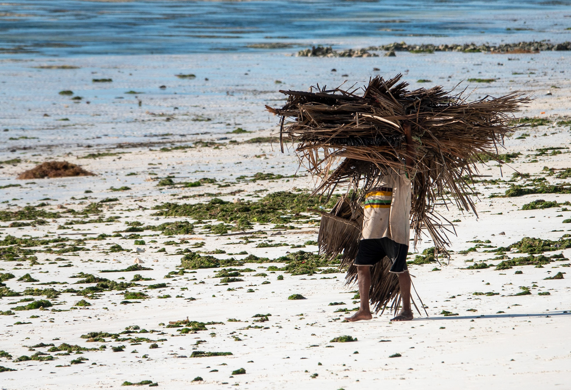 Jambiani Beach, Zanzibar, Tanzania