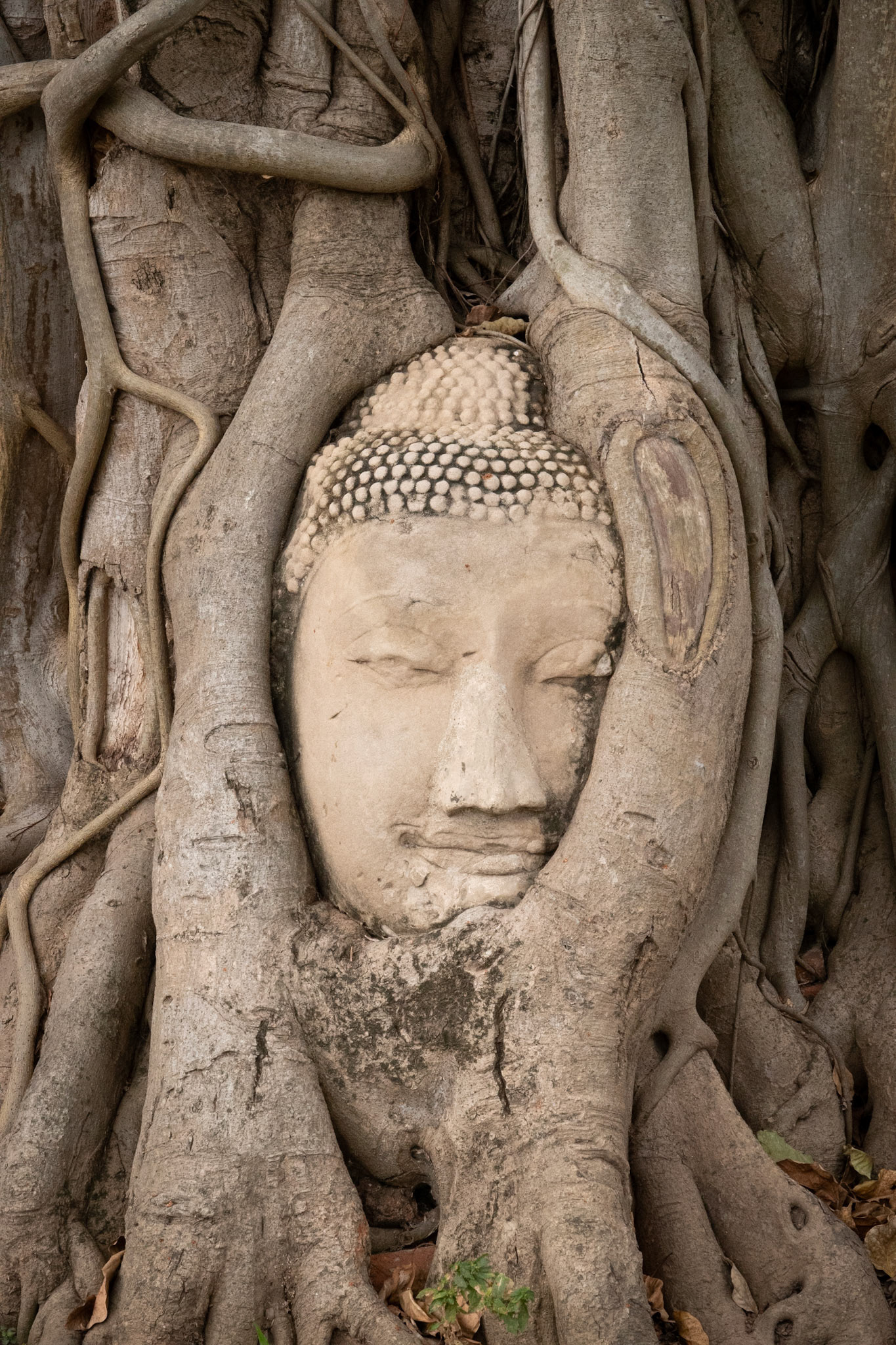 Ayutthaya