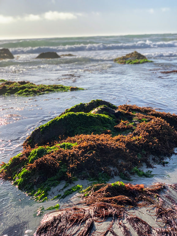 Distant Waves