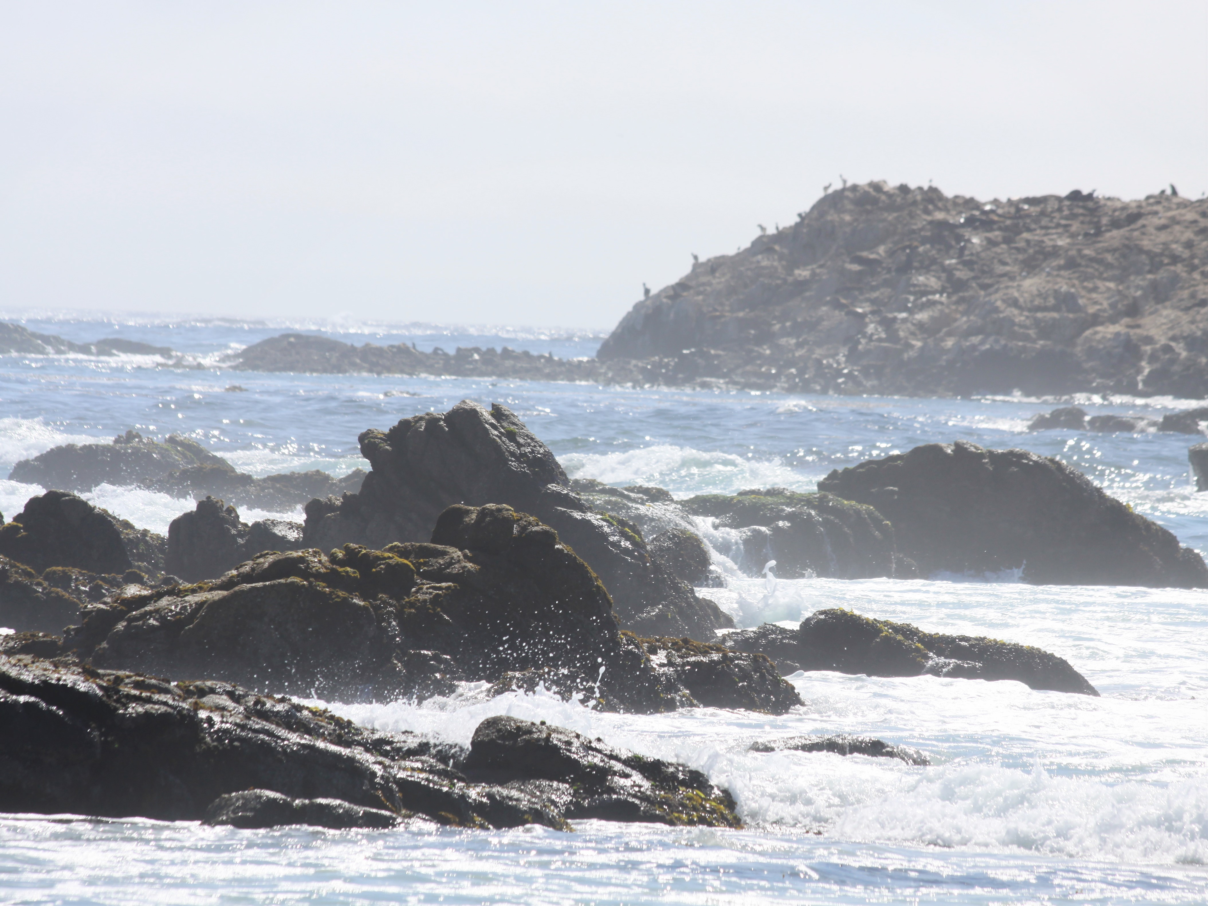 Misty Shores