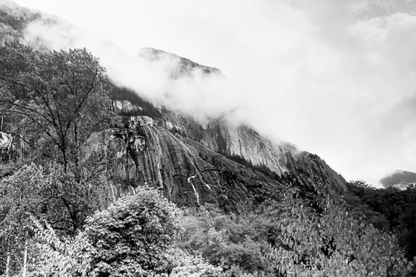 The Chief in the Mist
