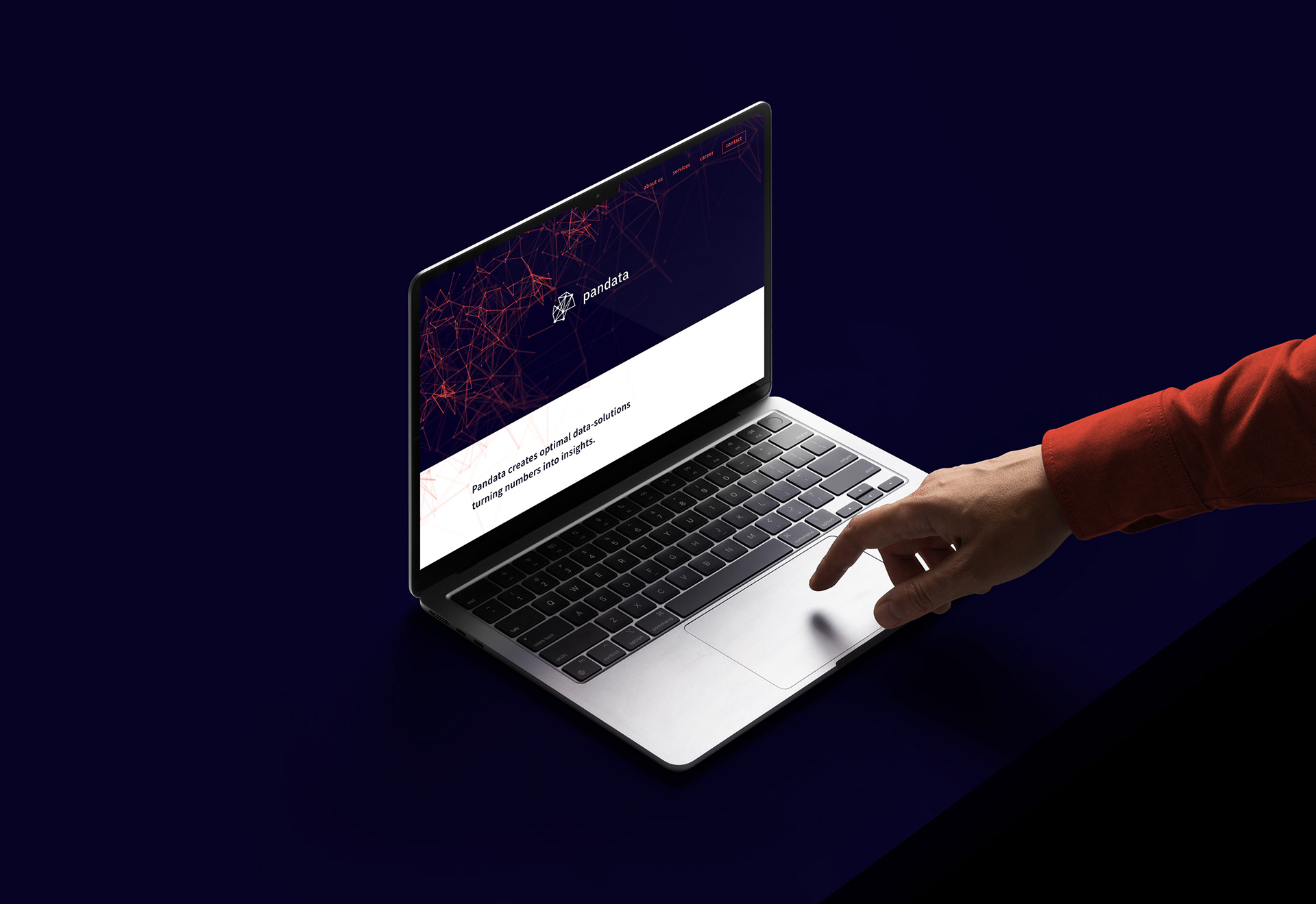 pandata | Branding, Web Design | 2021 | Homepage | Mathias Mortag