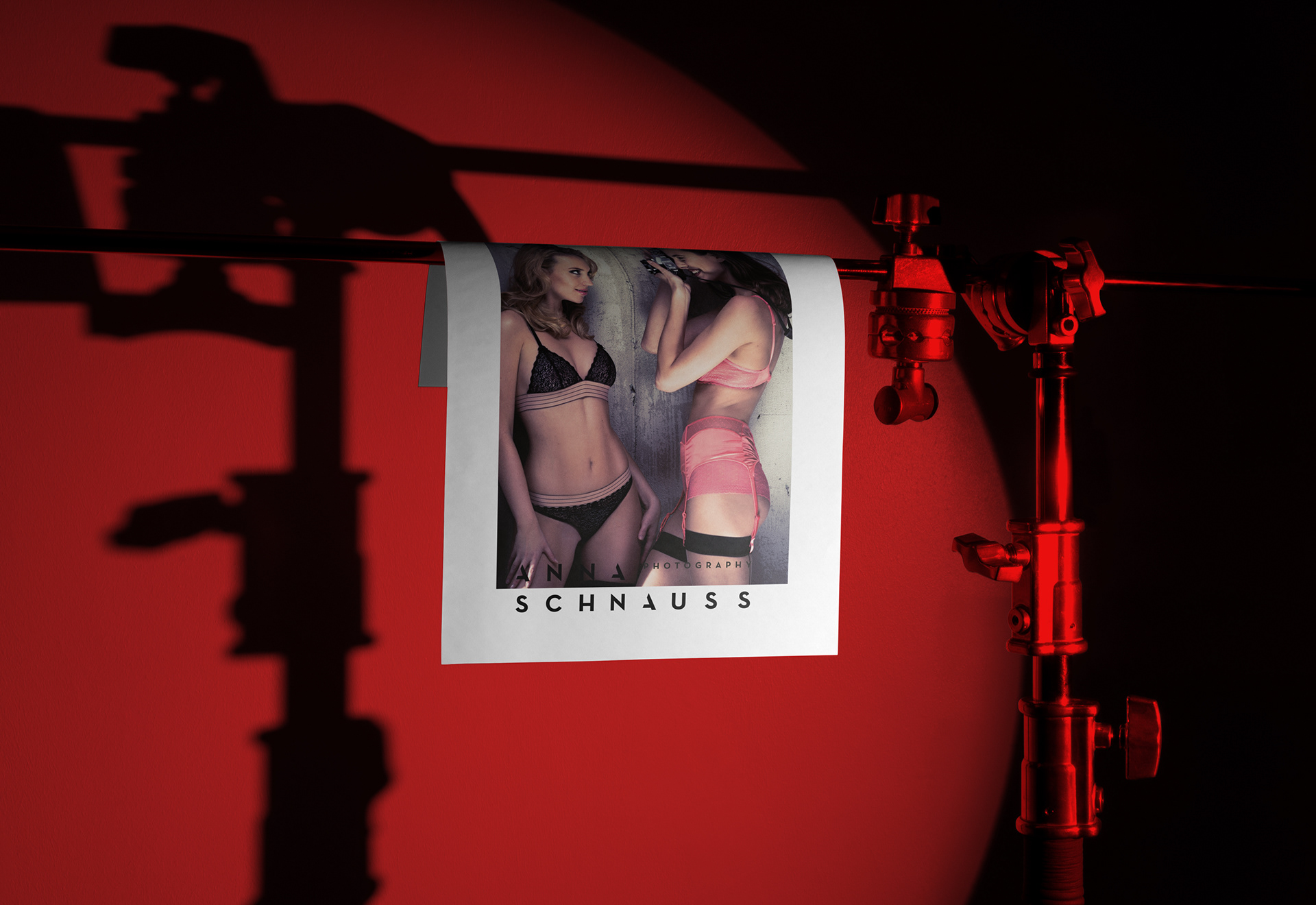 Anna Schnauss Photography | Branding, Web Design & Social Media | 2015 | Poster