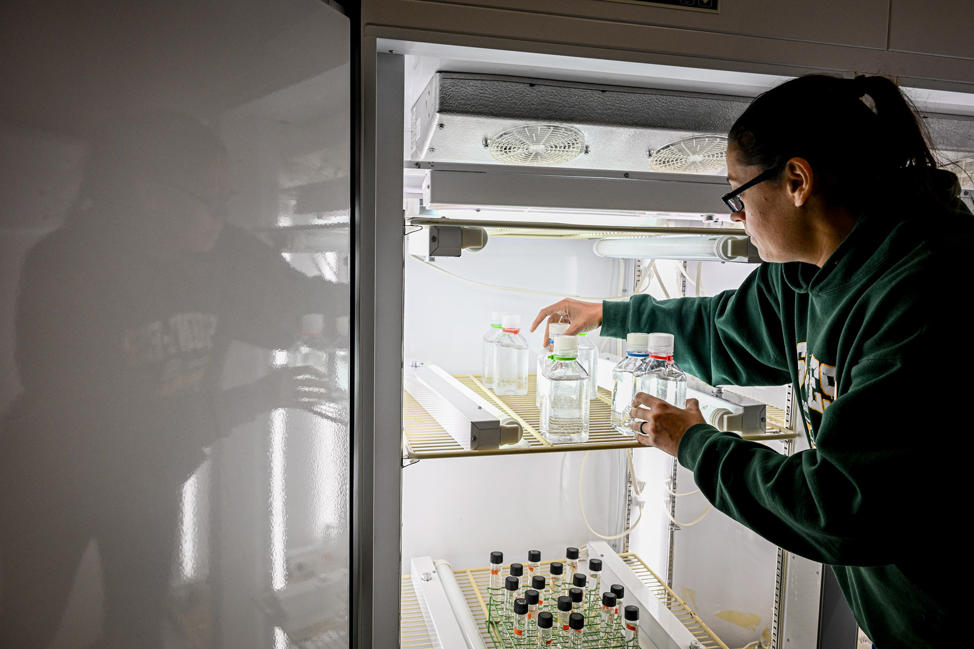 Dr. Dominique Derminio places nutrient samples into an incubator at the SUNY College of Environmental Science and Forestry on Tuesday, Oct. 14, 2025, in Syracuse, N.Y. The controlled experiment complements field data collected from Skaneateles Lake. 