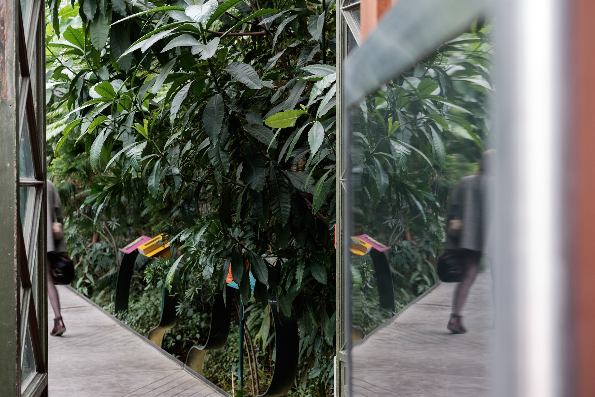 Les Grandes Serres du Jardin des Plantes, Paris.