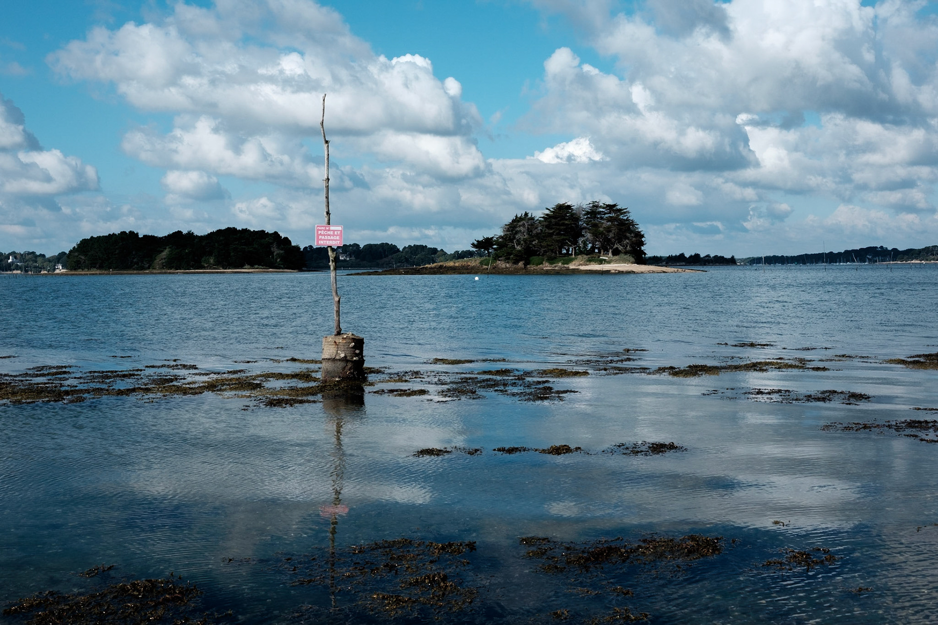 Paysages du Golf de Morbihan, Bretagne, France.