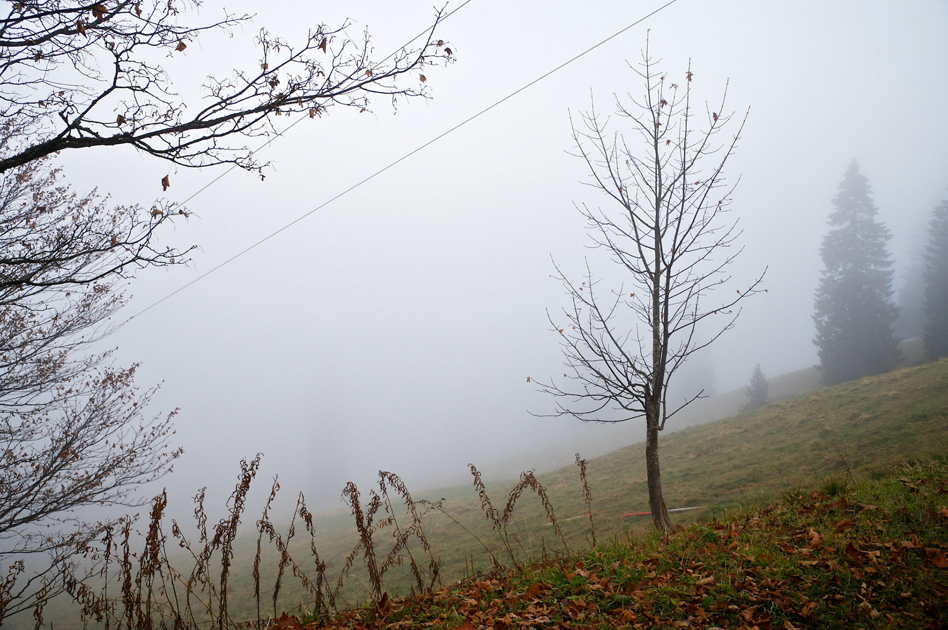 Paysages de Forêt Noire, Allemagne.