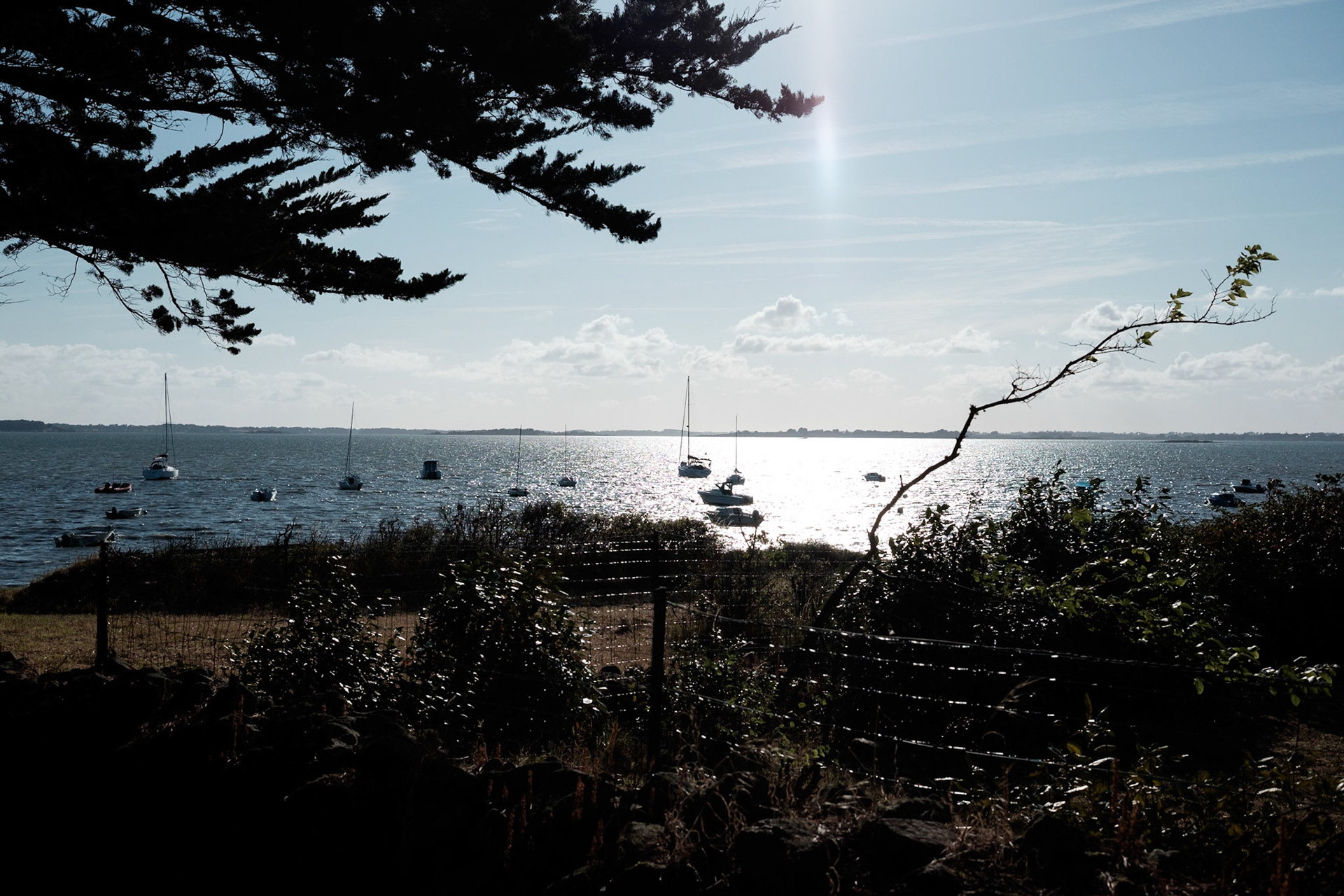 Paysages du Golf de Morbihan, Bretagne, France.
