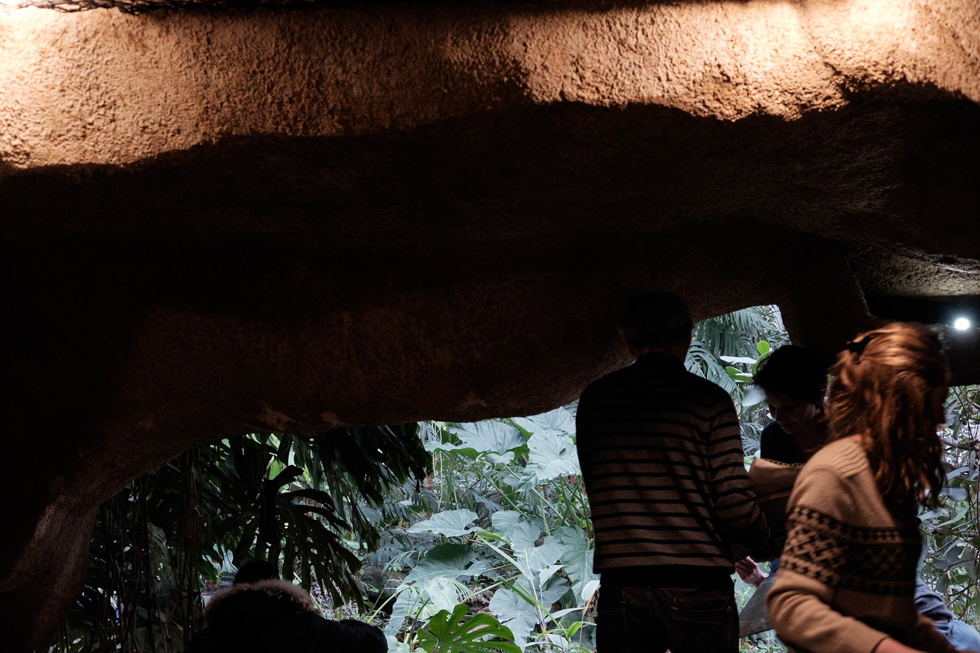 Les Grandes Serres du Jardin des Plantes, Paris.
