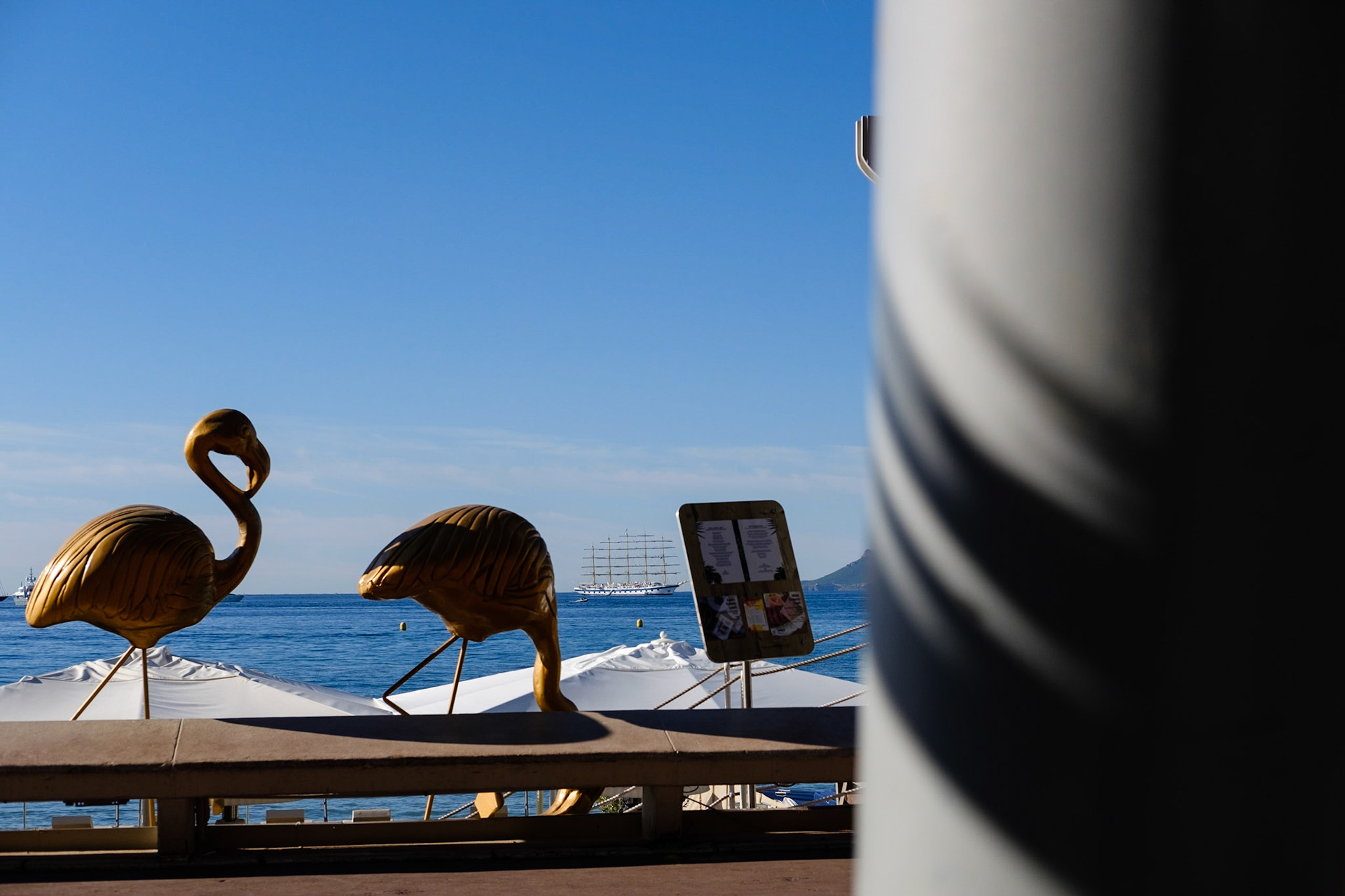 Cannes, Alpes Maritmes, France