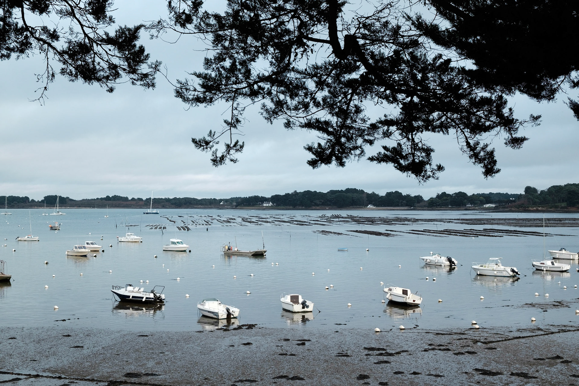 Paysages du Golf de Morbihan, Bretagne, France.