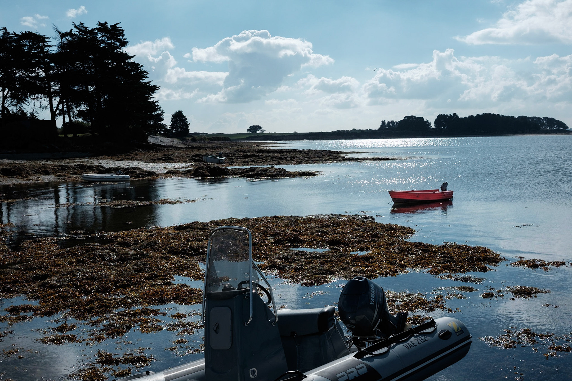 Paysages du Golf de Morbihan, Bretagne, France.