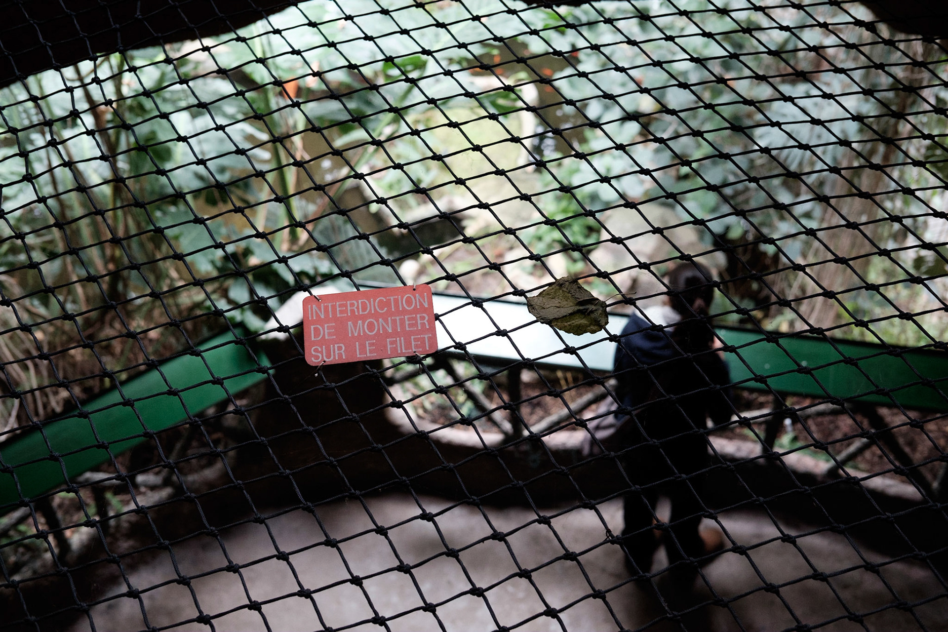 Les Grandes Serres du Jardin des Plantes, Paris.