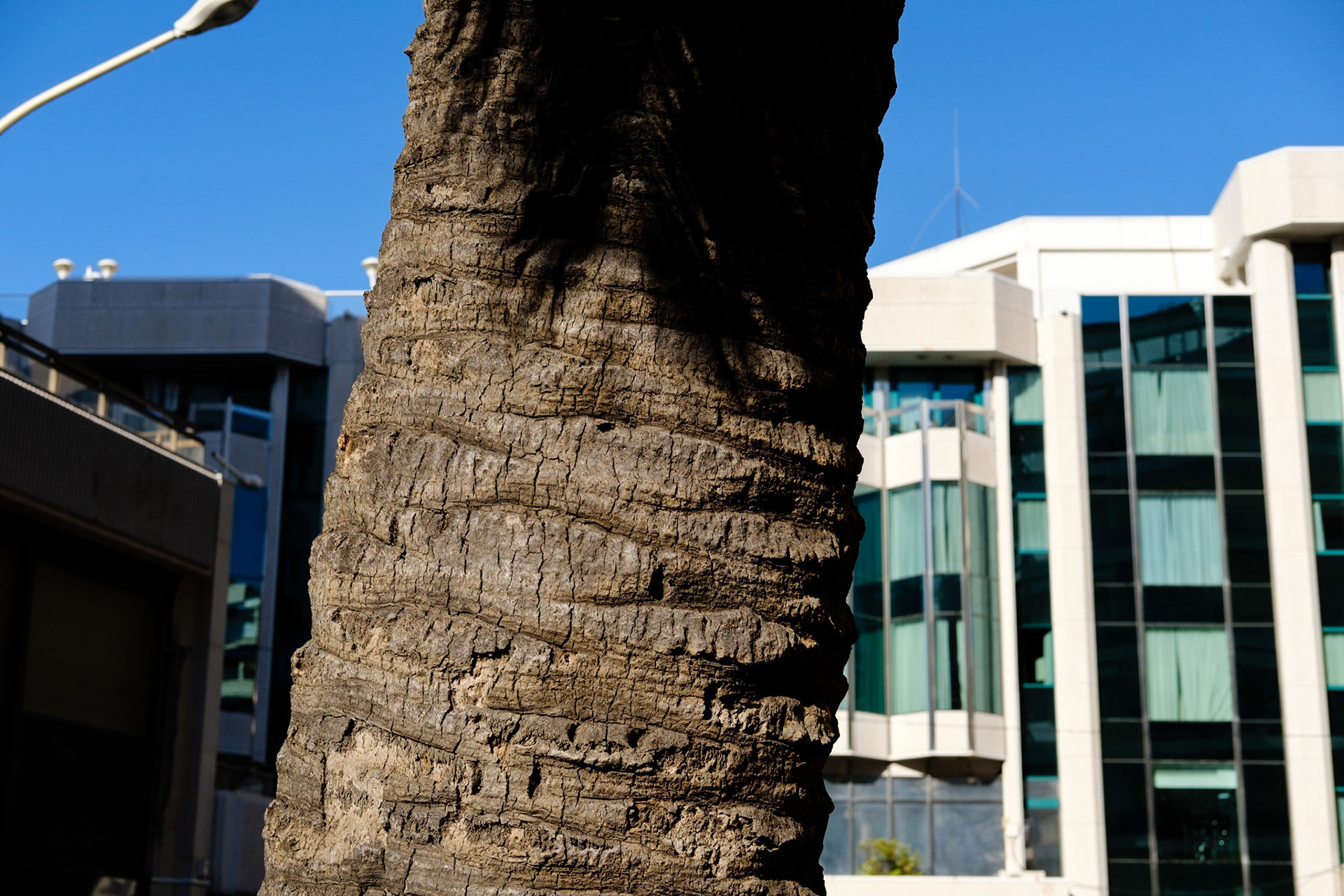 French Riviera, one day in Cannes.                                               http://francoisrenault.com/photoblog/portfolios/french-riviera-one-day-in-cannes/