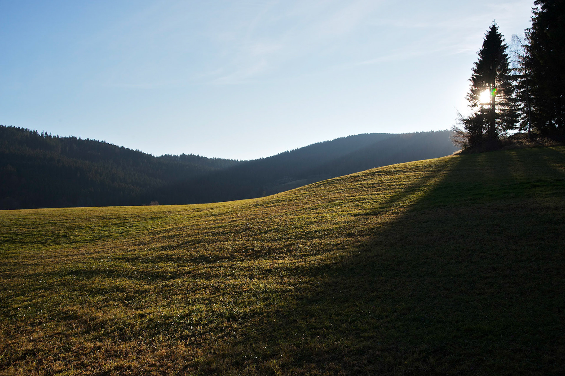 Paysages de Forêt Noire, Allemagne.