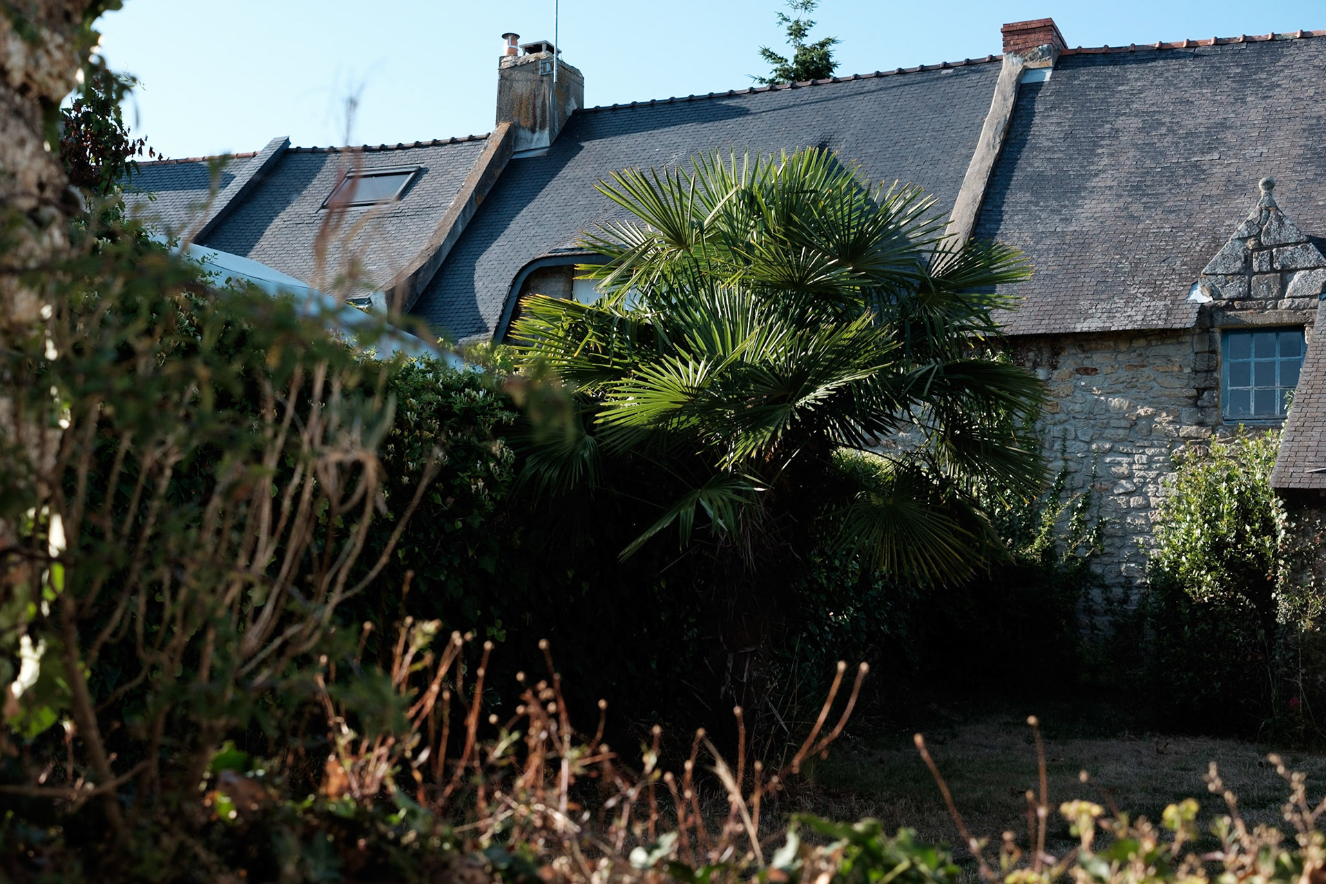 Paysages du Golf de Morbihan, Bretagne, France.
