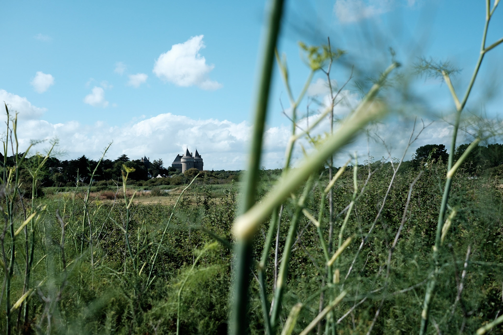 Paysages du Golf de Morbihan, Bretagne, France.