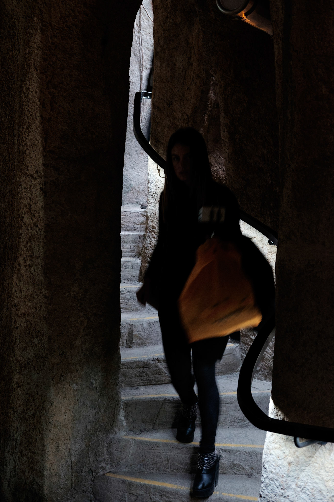 Les Grandes Serres du Jardin des Plantes, Paris.
