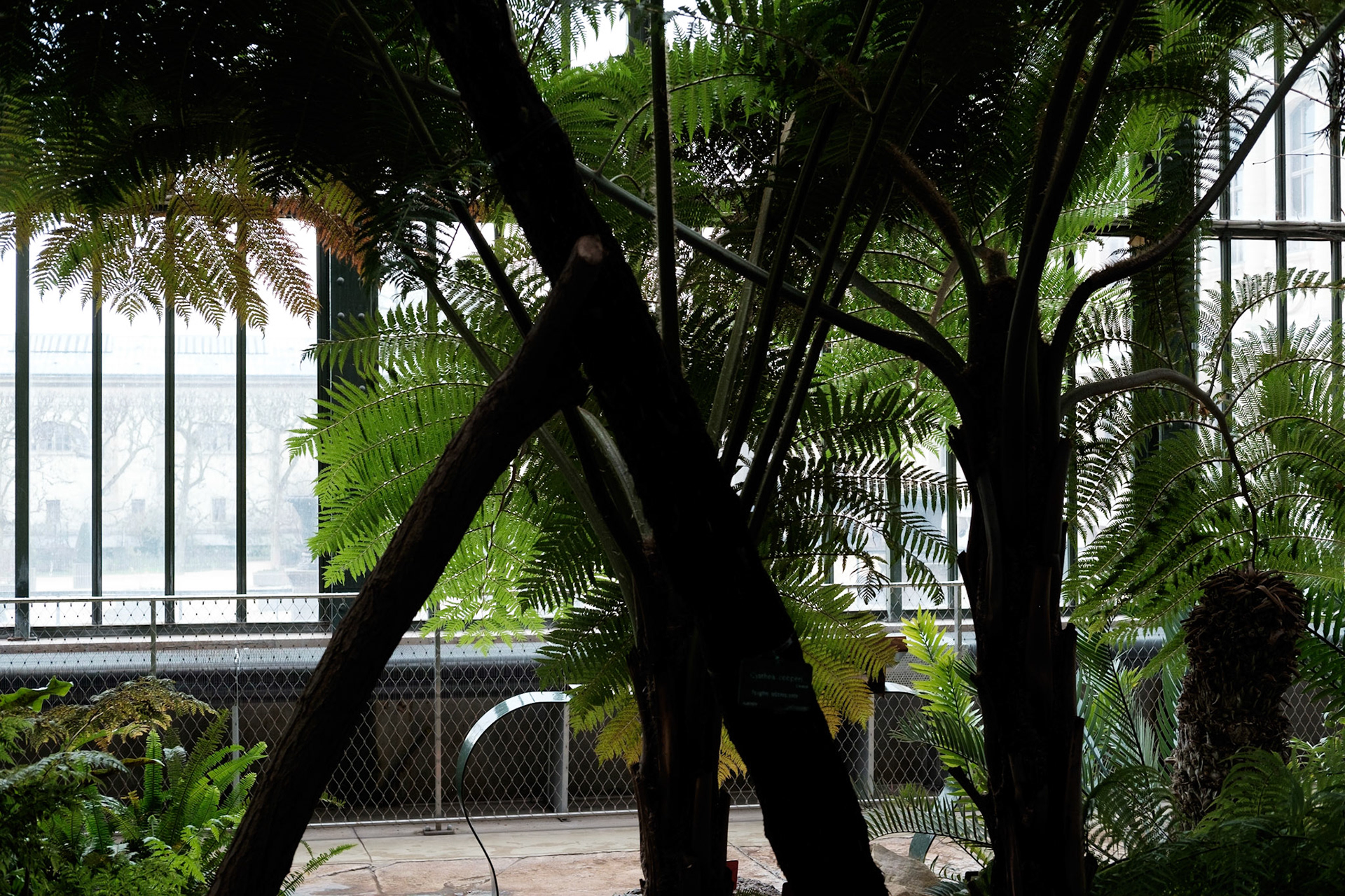 Les Grandes Serres du Jardin des Plantes, Paris.