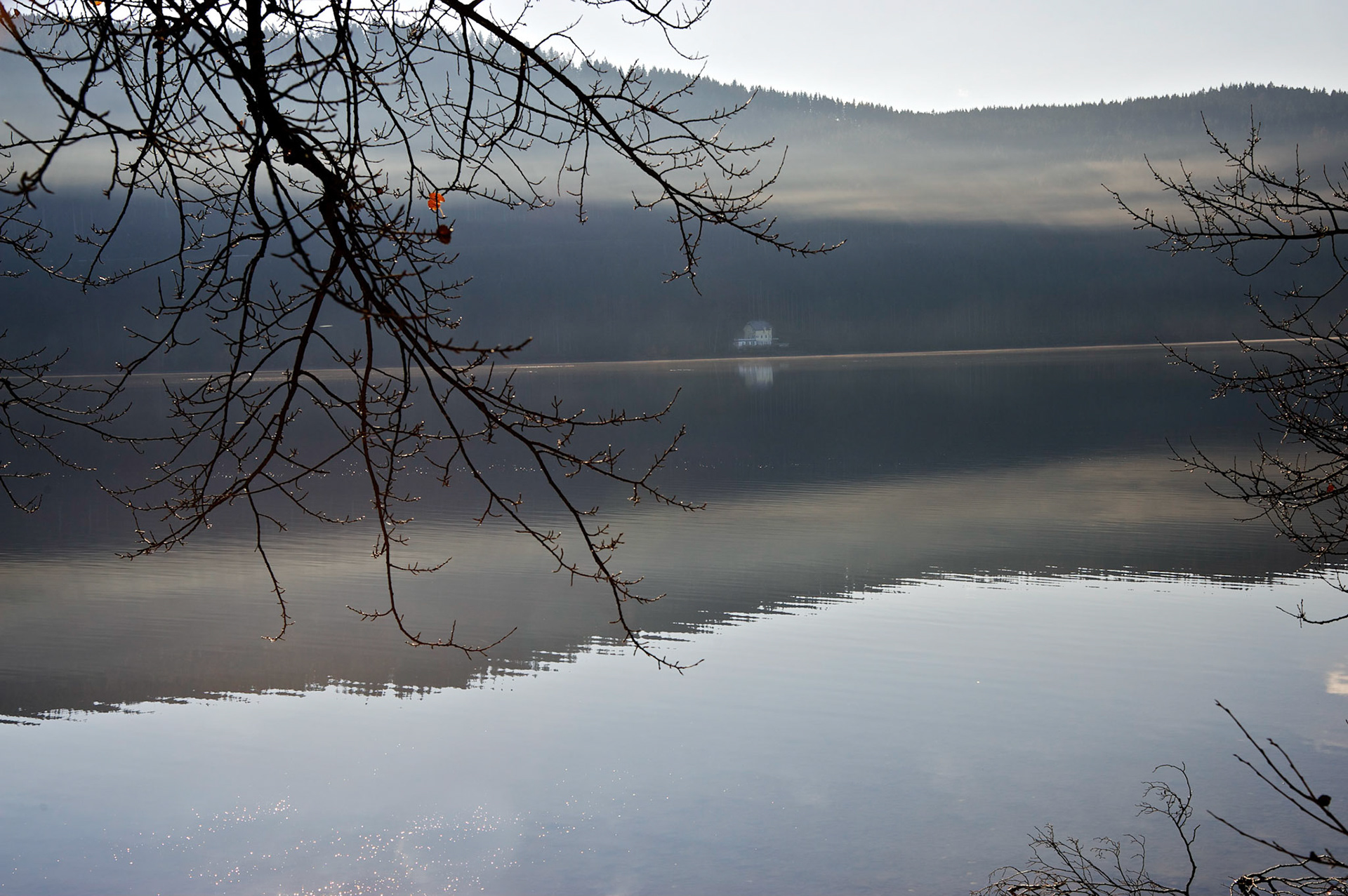 Paysages de Forêt Noire, Allemagne.
