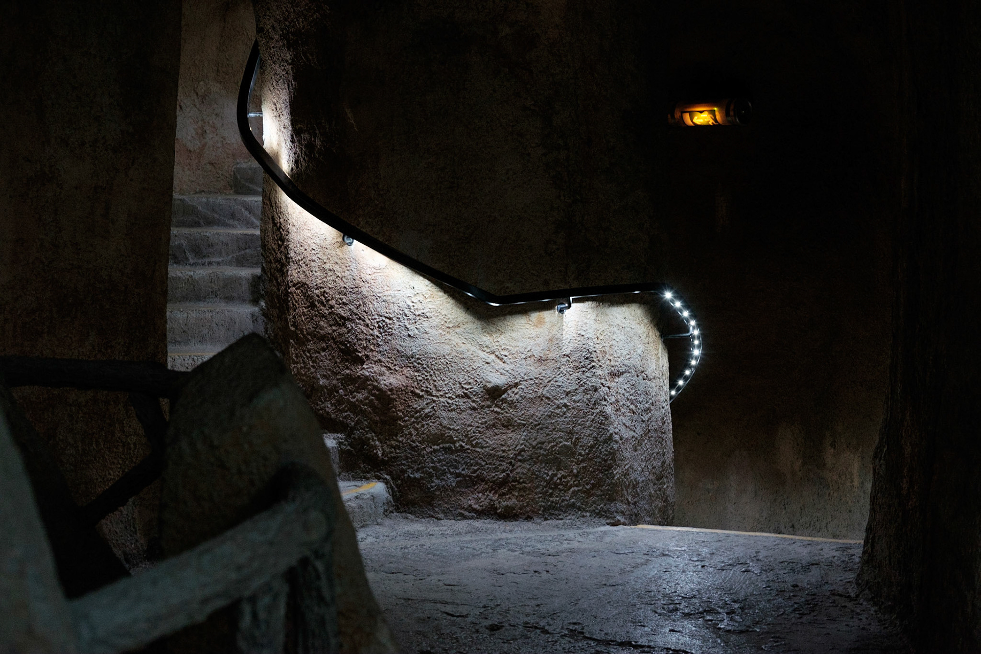 Les Grandes Serres du Jardin des Plantes, Paris.