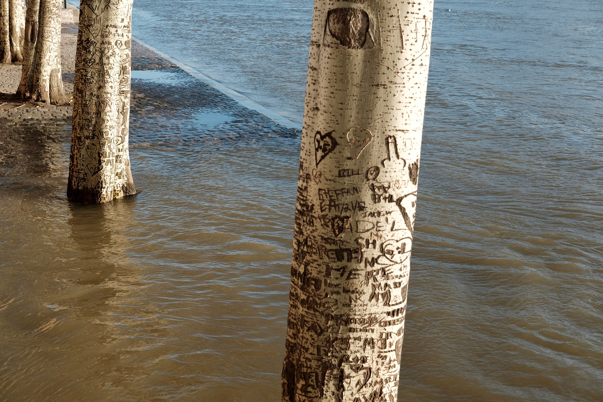 Inondation 2018. Paris