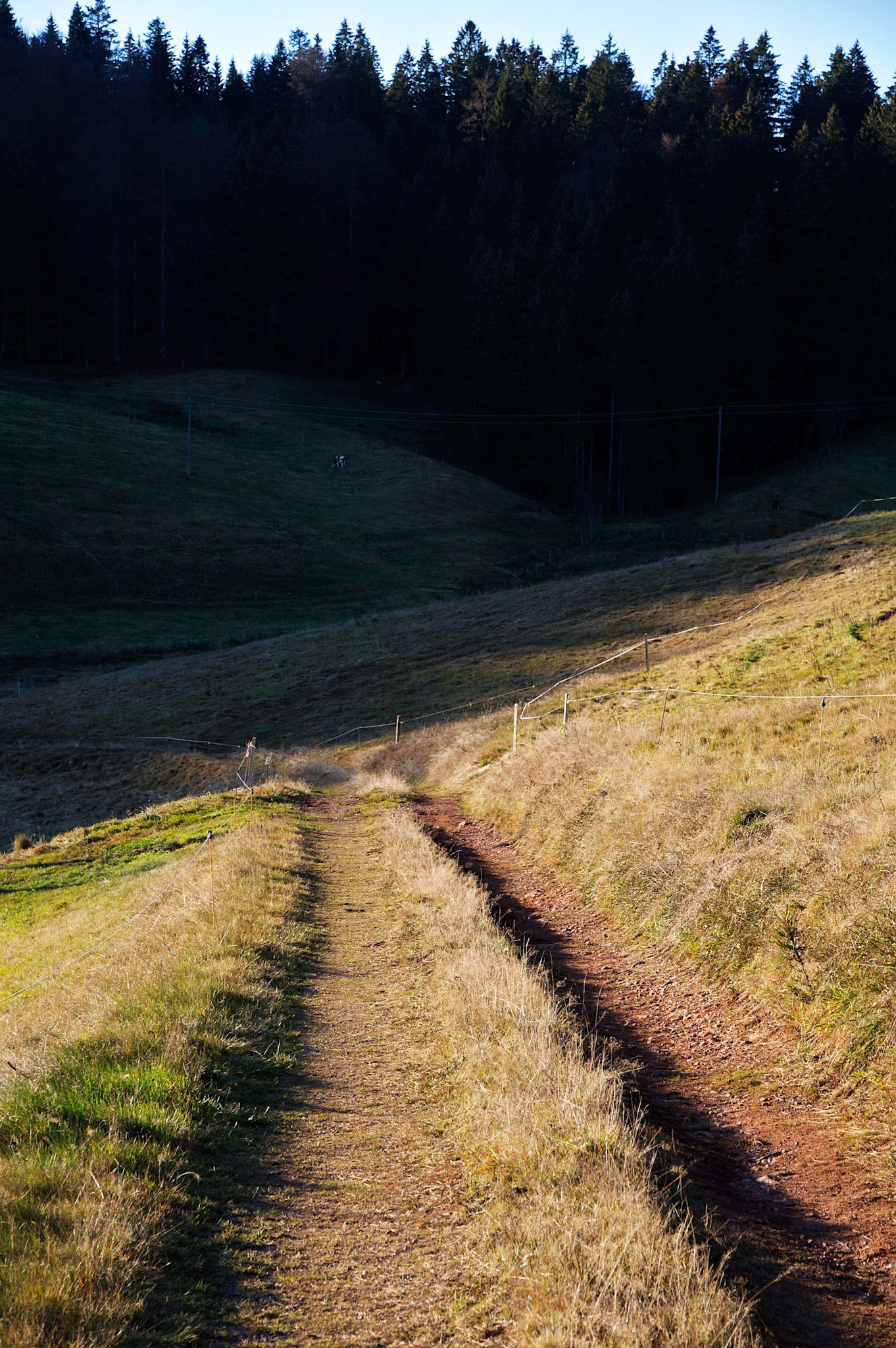 Paysages de Forêt Noire, Allemagne.