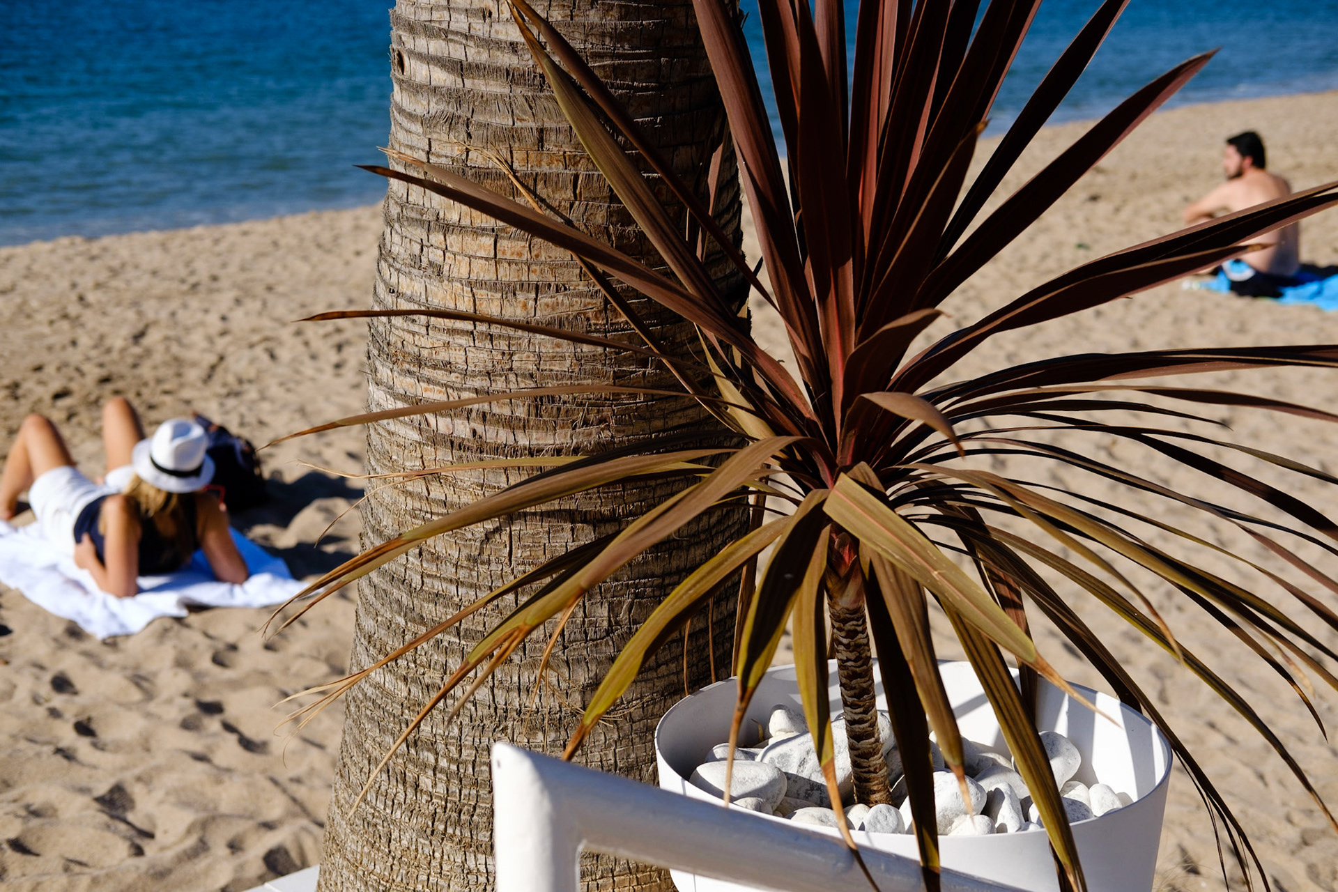 Cannes, Alpes Maritmes, France