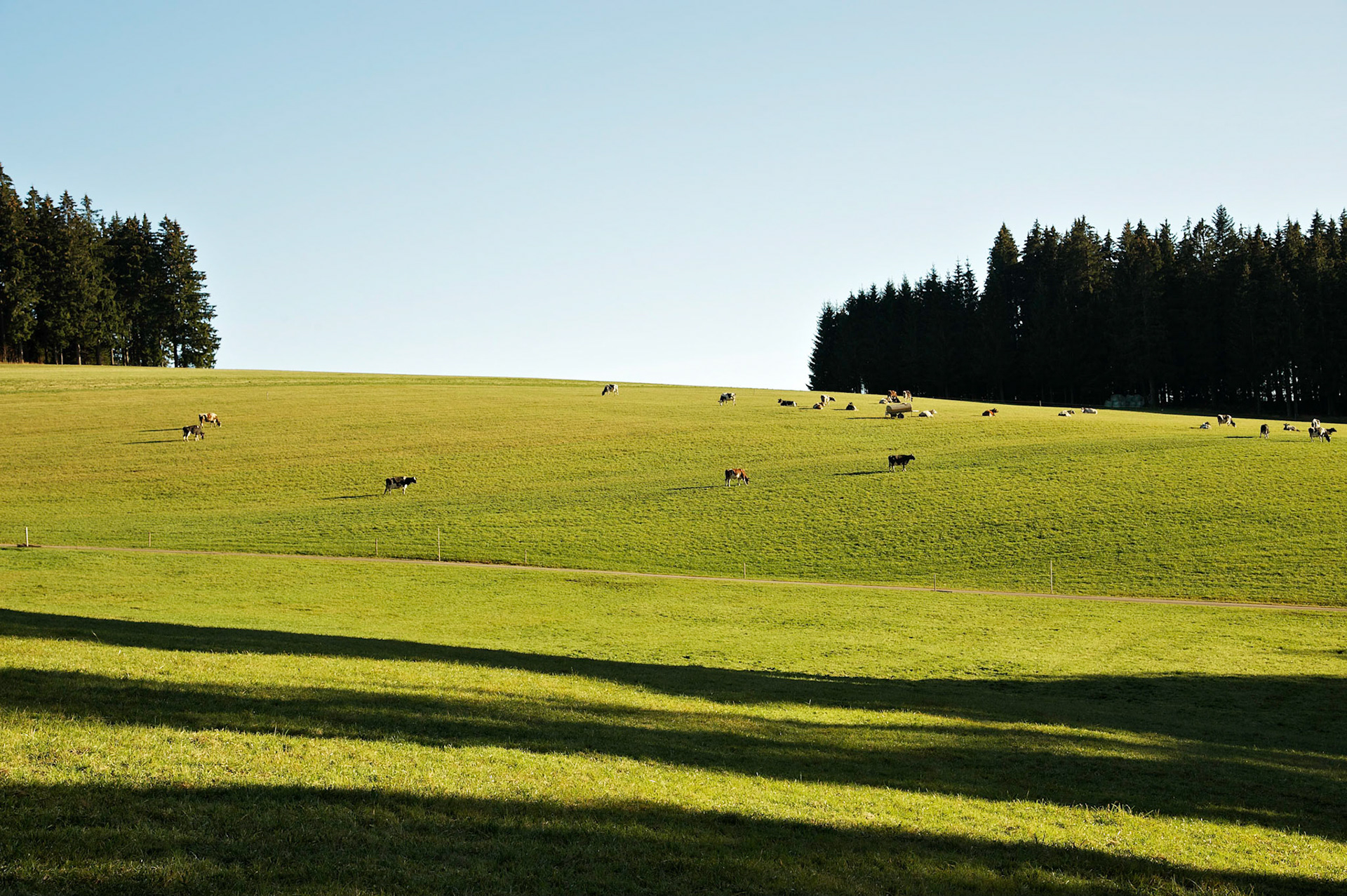 Paysages de Forêt Noire, Allemagne.