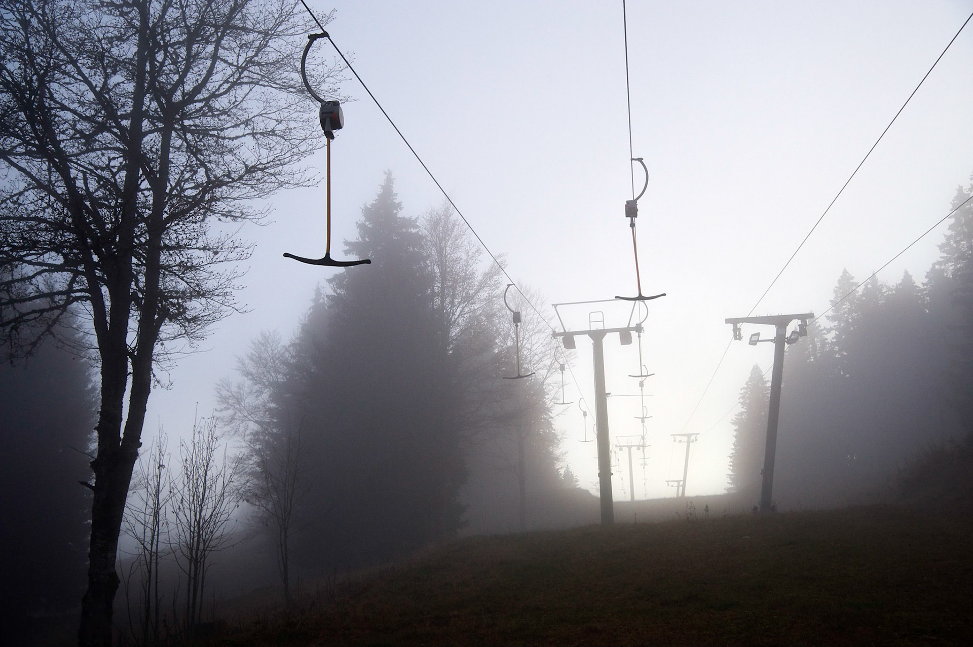 Paysages de Forêt Noire, Allemagne.