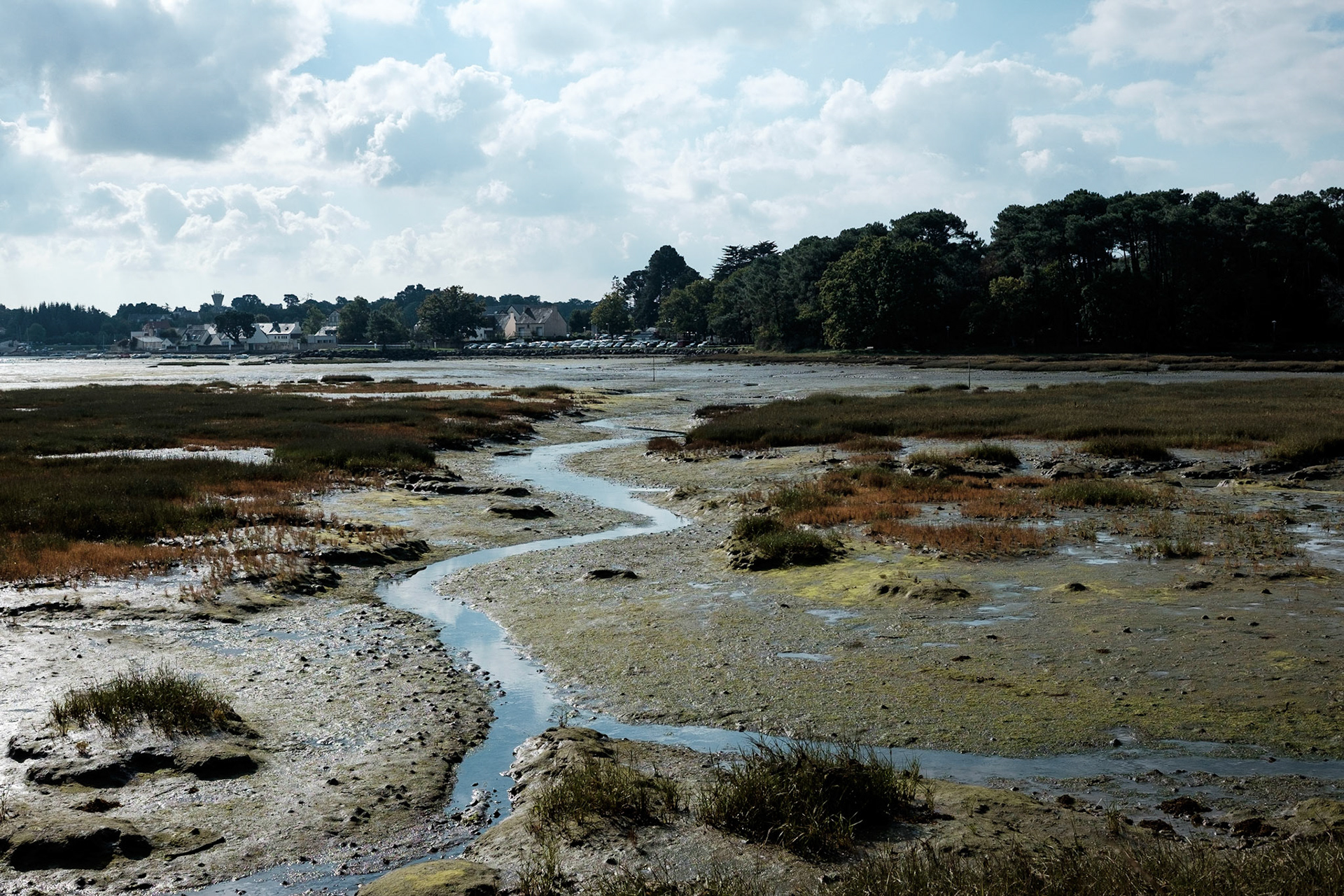 Paysages du Golf de Morbihan, Bretagne, France.