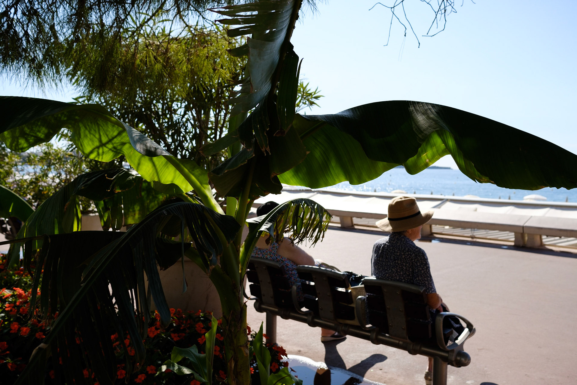 Cannes, Alpes Maritmes, France