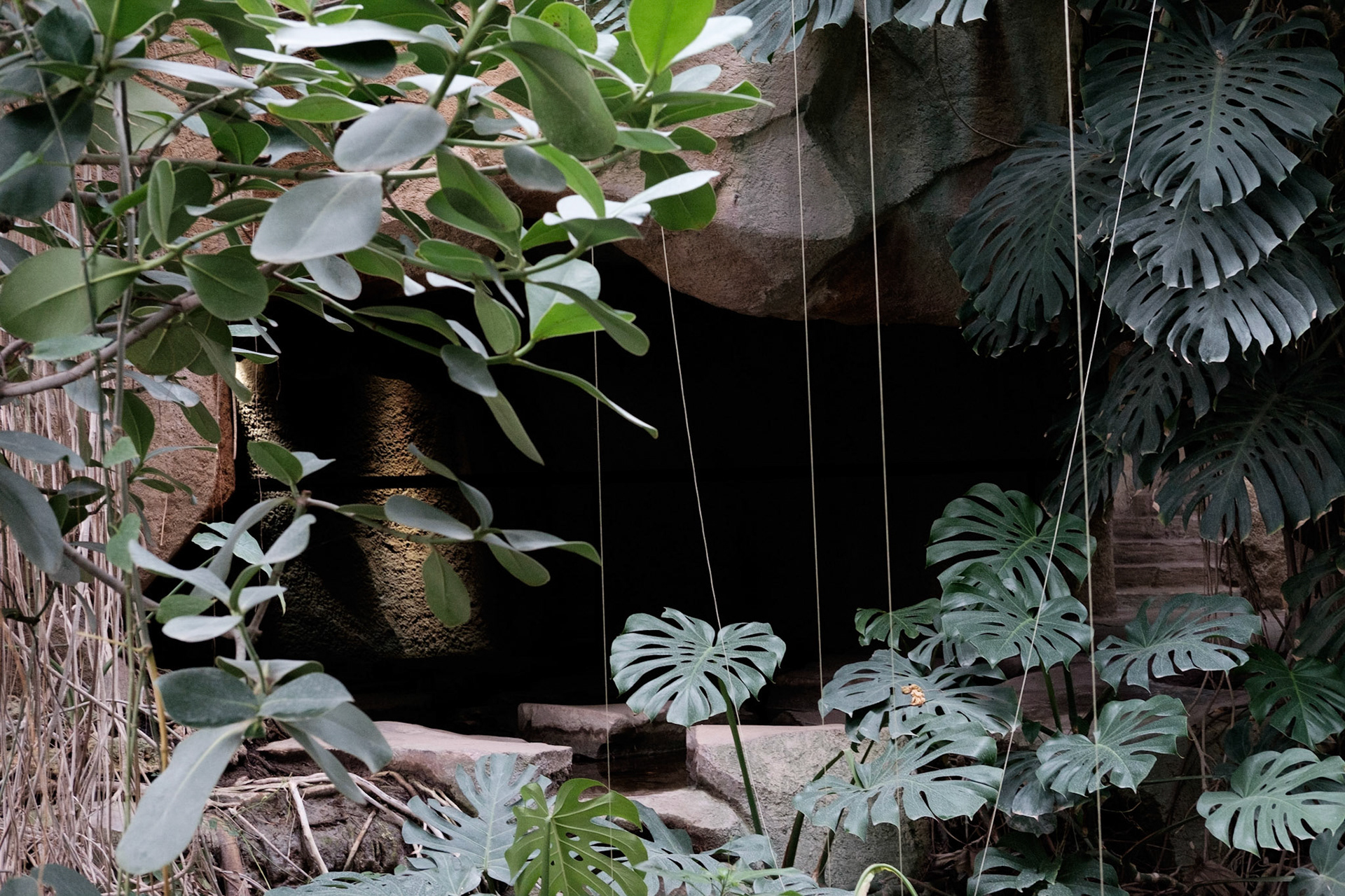 Les Grandes Serres du Jardin des Plantes, Paris.