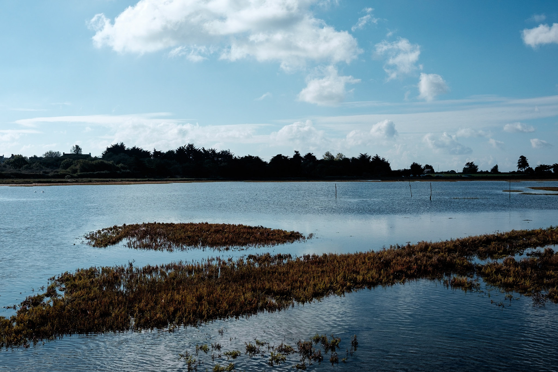 Paysages du Golf de Morbihan, Bretagne, France.