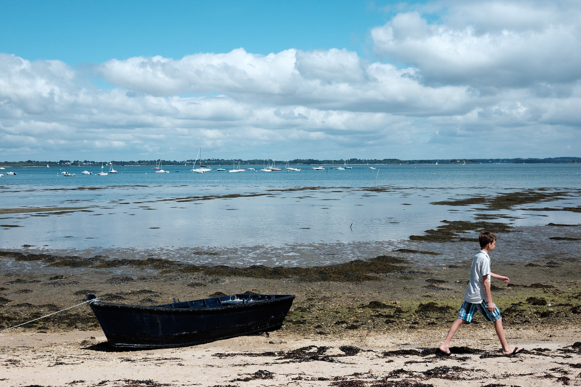 Paysages du Golf de Morbihan, Bretagne, France.