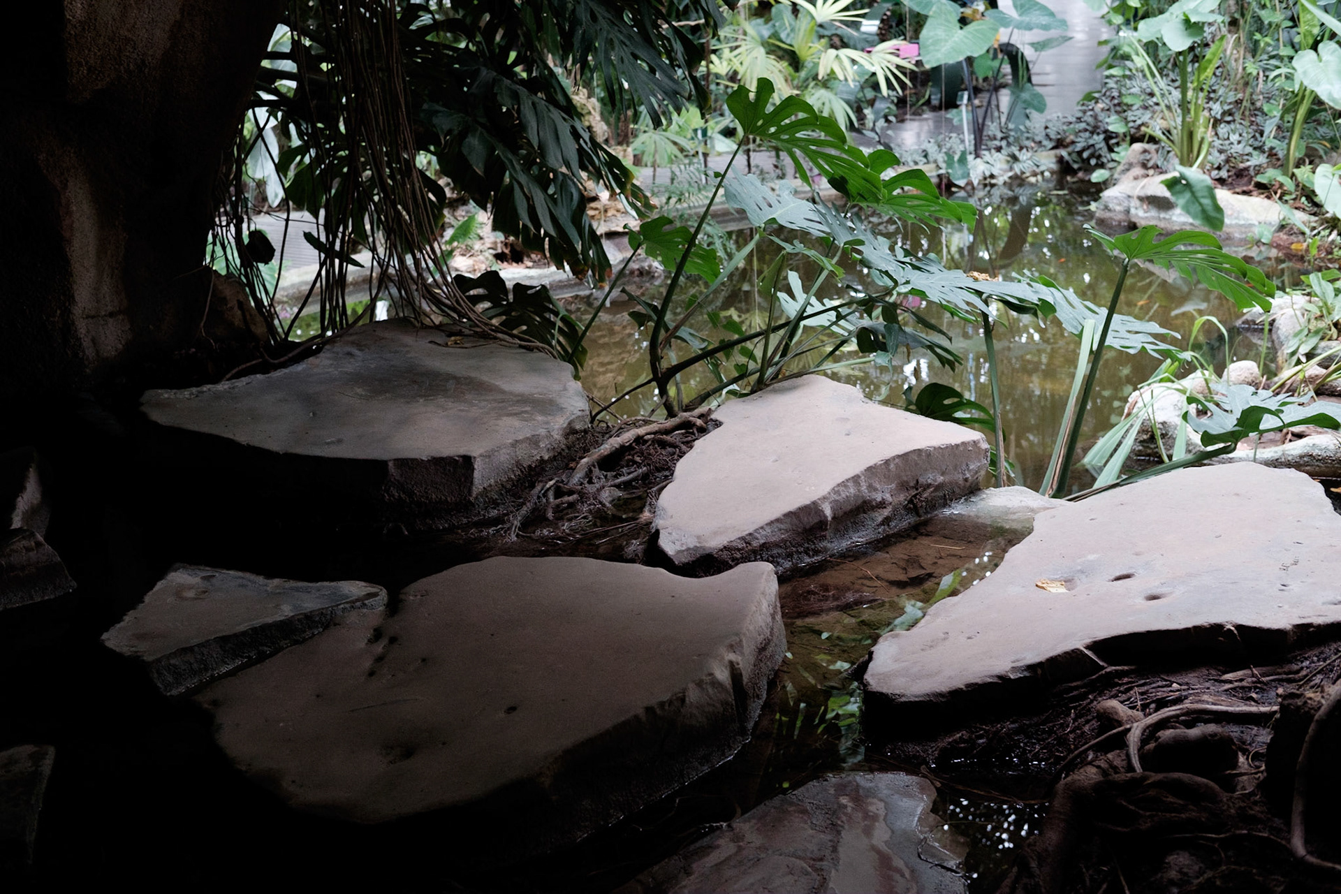 Les Grandes Serres du Jardin des Plantes, Paris.