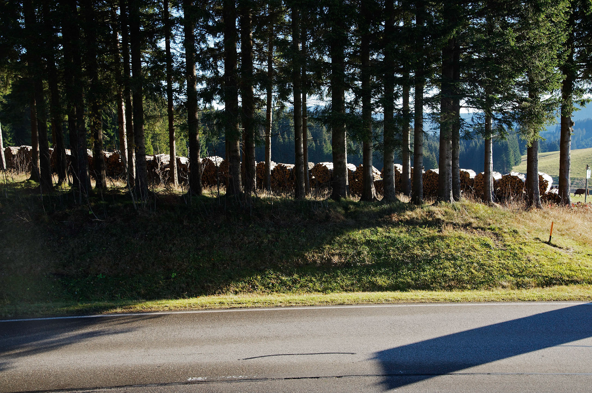 Paysages de Forêt Noire, Allemagne.