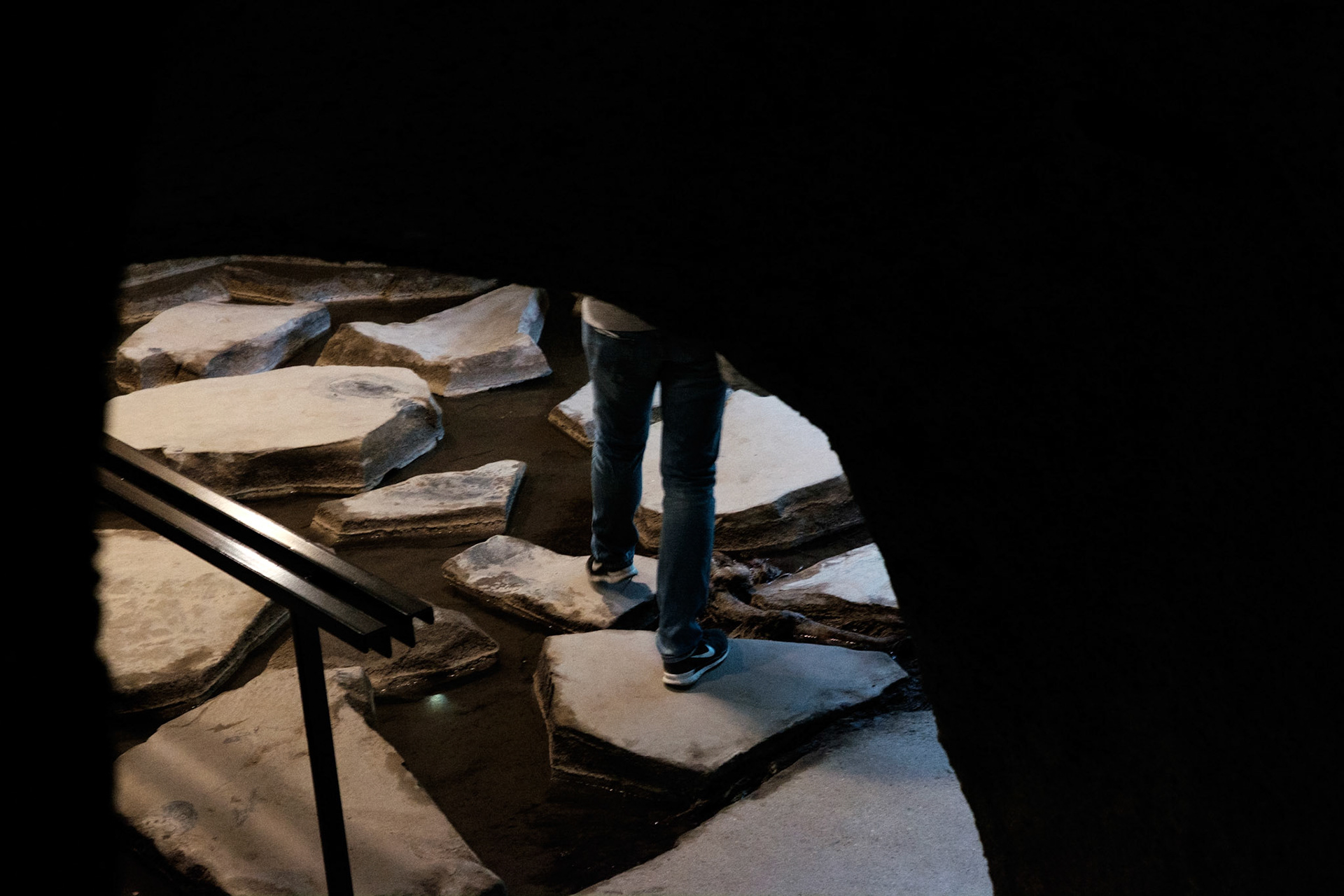 Les Grandes Serres du Jardin des Plantes, Paris.