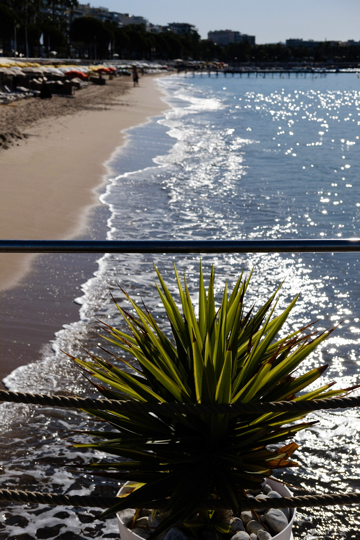 Cannes, Alpes Maritmes, France