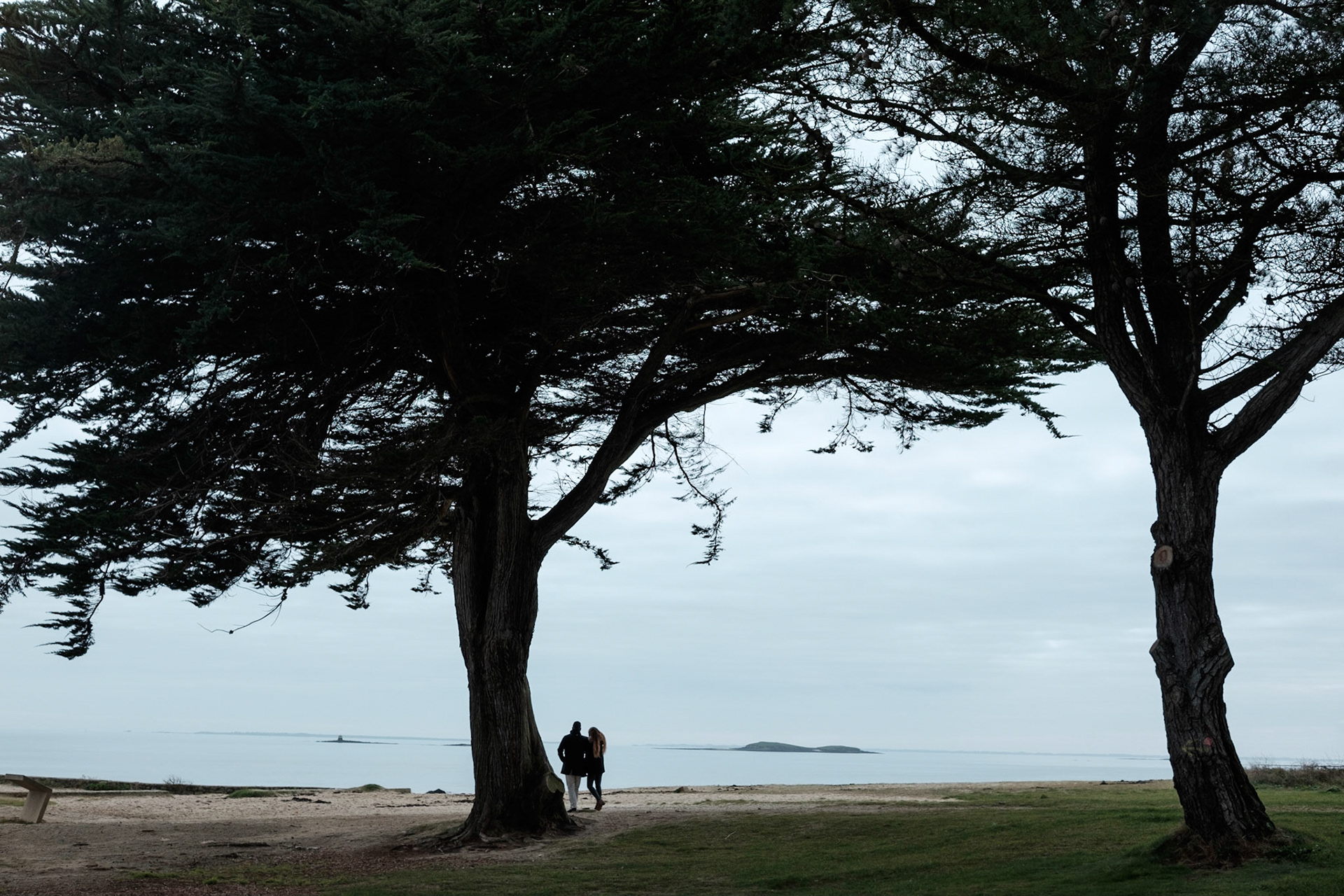 Paysages du Golf de Morbihan, Bretagne, France.