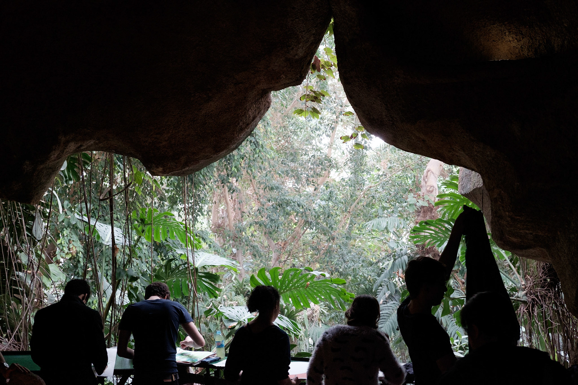 Les Grandes Serres du Jardin des Plantes, Paris.