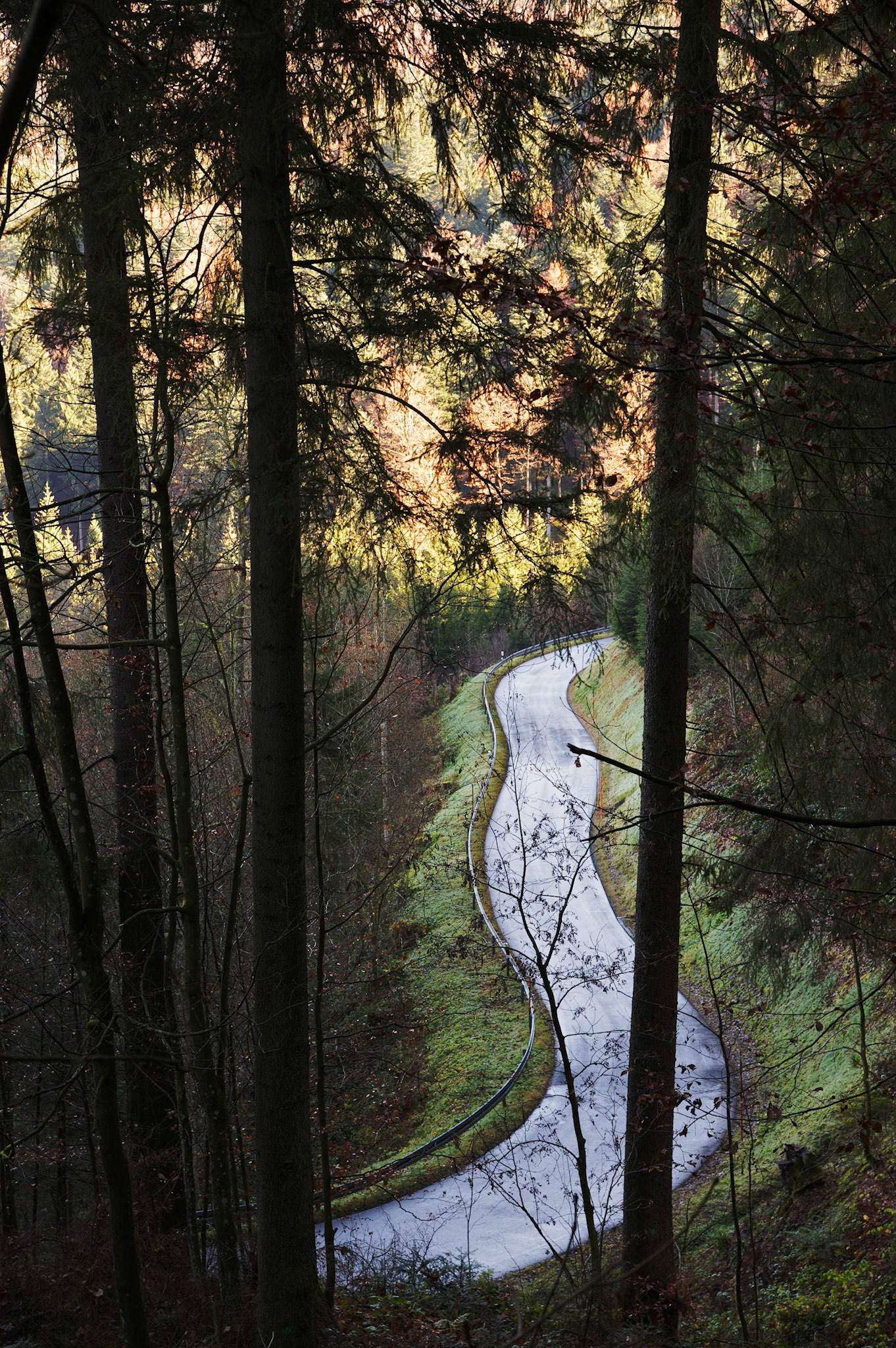 Paysages de Forêt Noire, Allemagne.