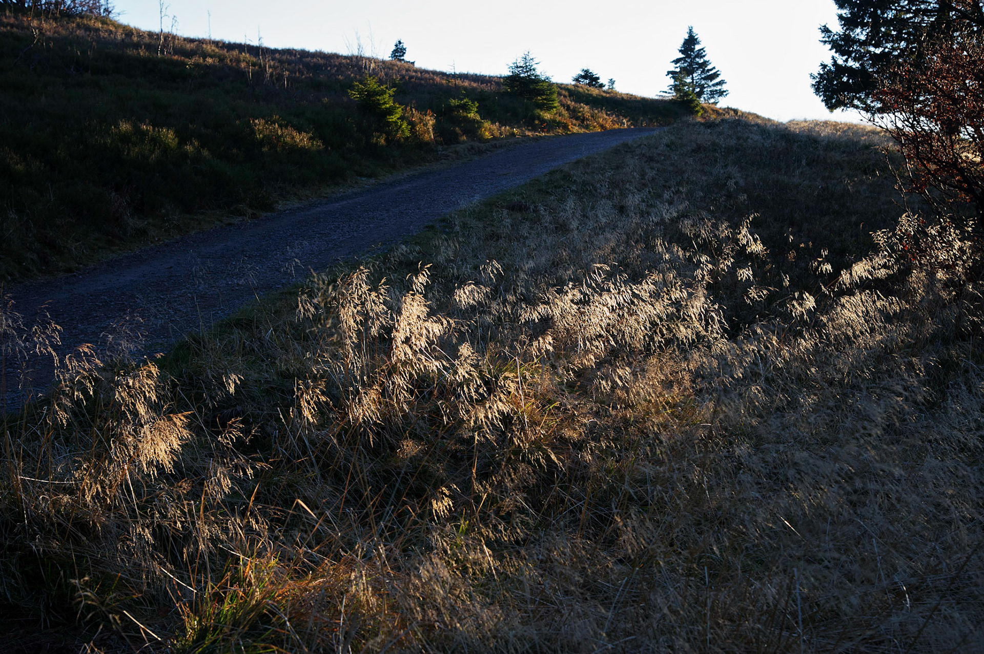 Paysages de Forêt Noire, Allemagne.