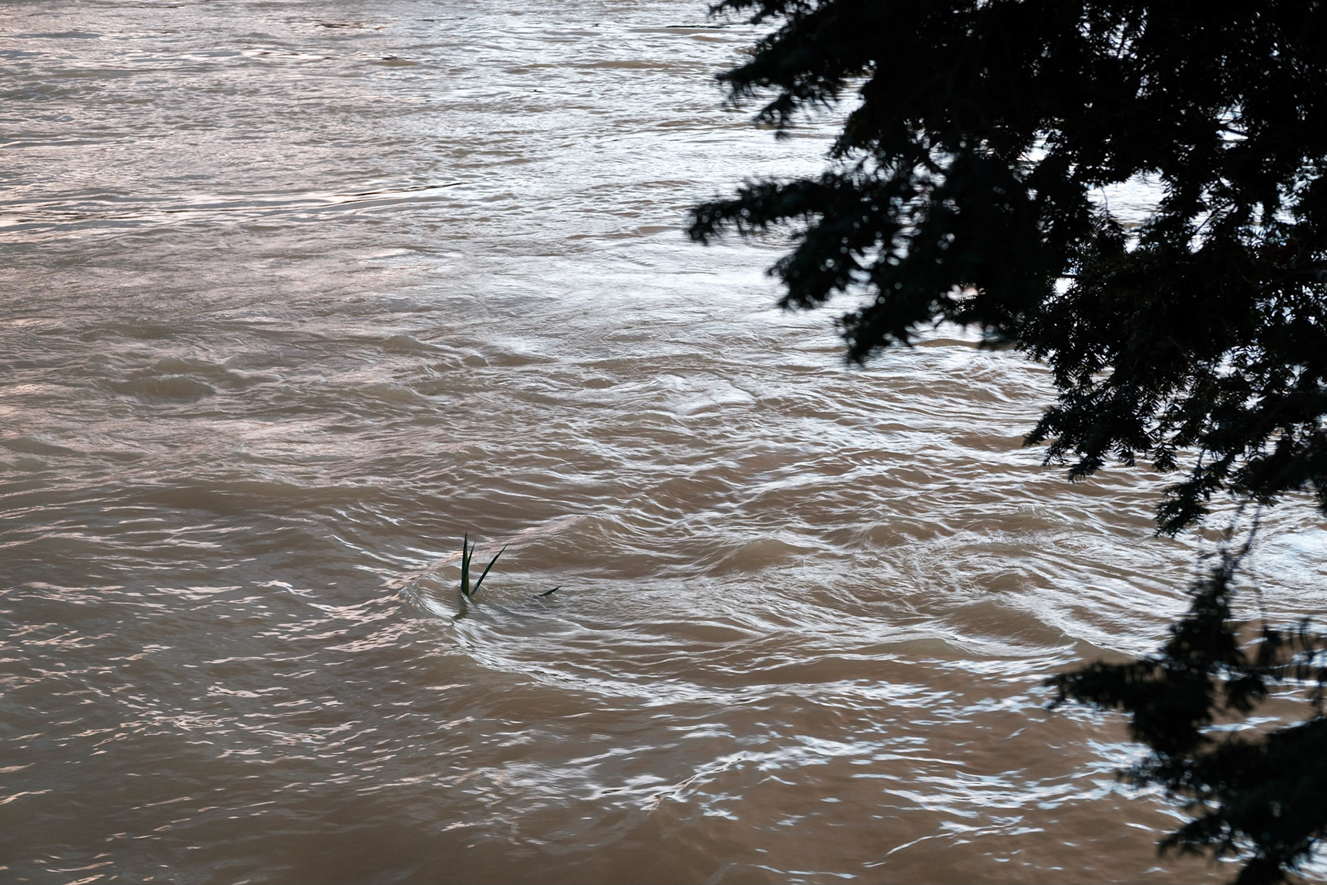 Inondation 2018. Paris