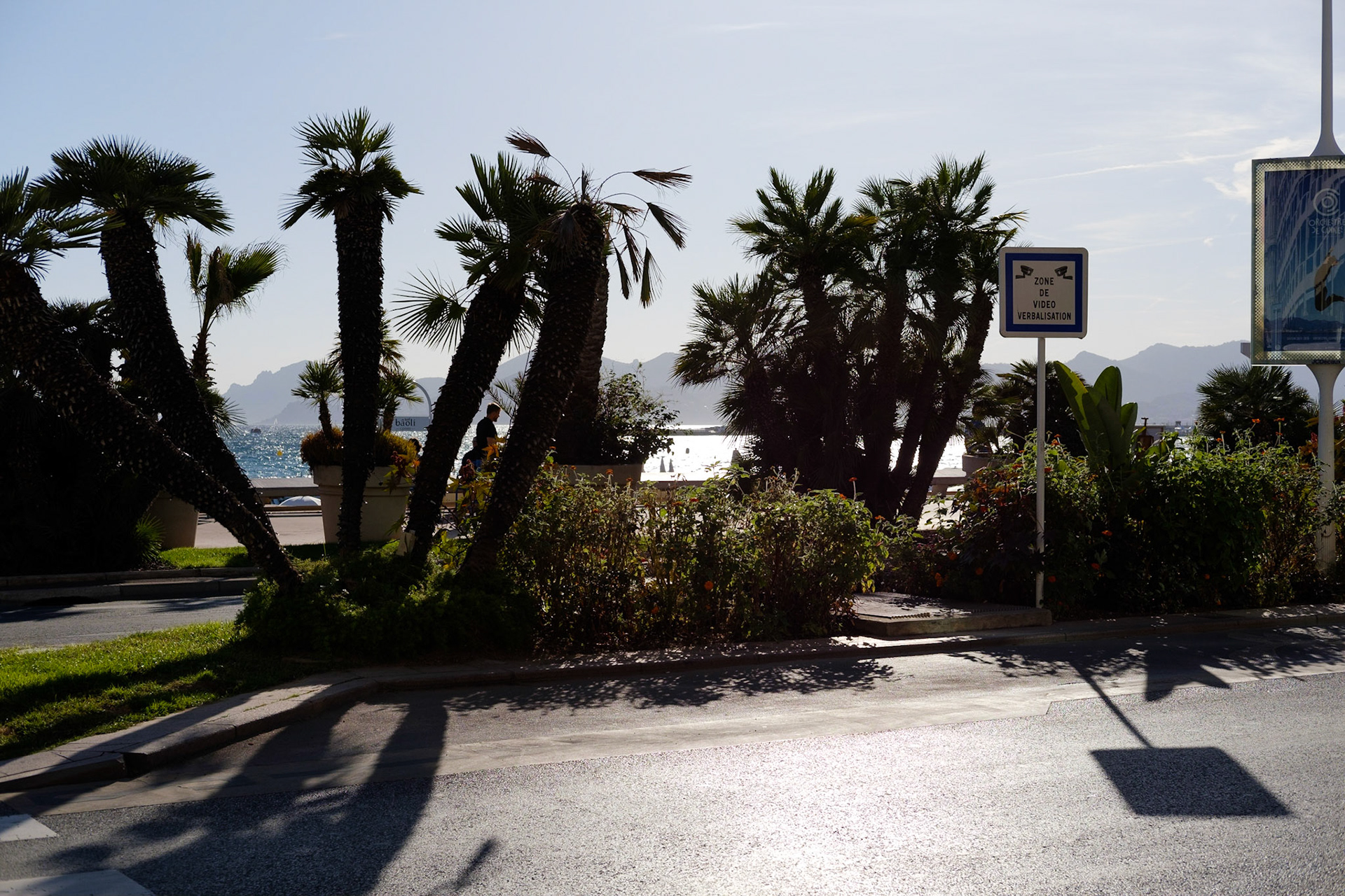 Cannes, Alpes Maritmes, France