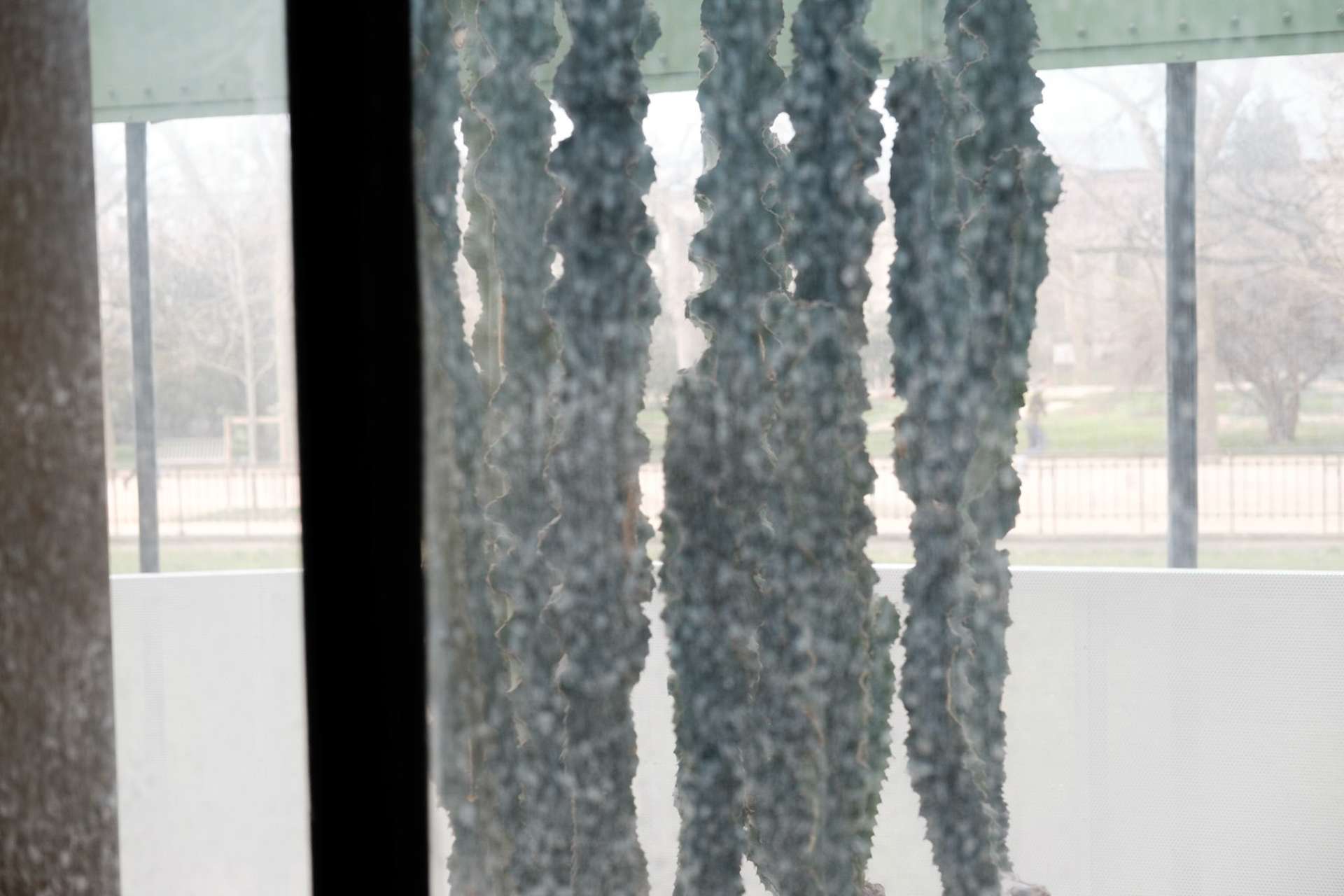 Les Grandes Serres du Jardin des Plantes, Paris.