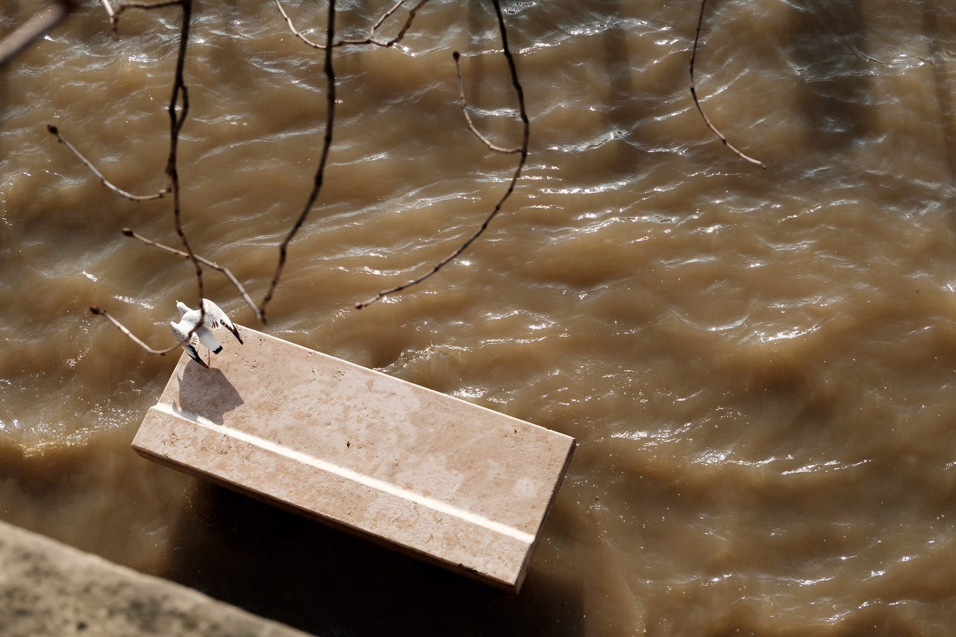 Inondation 2018. Paris