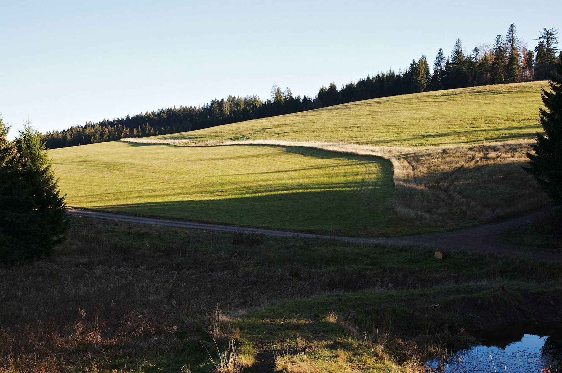 Paysages de Forêt Noire, Allemagne.
